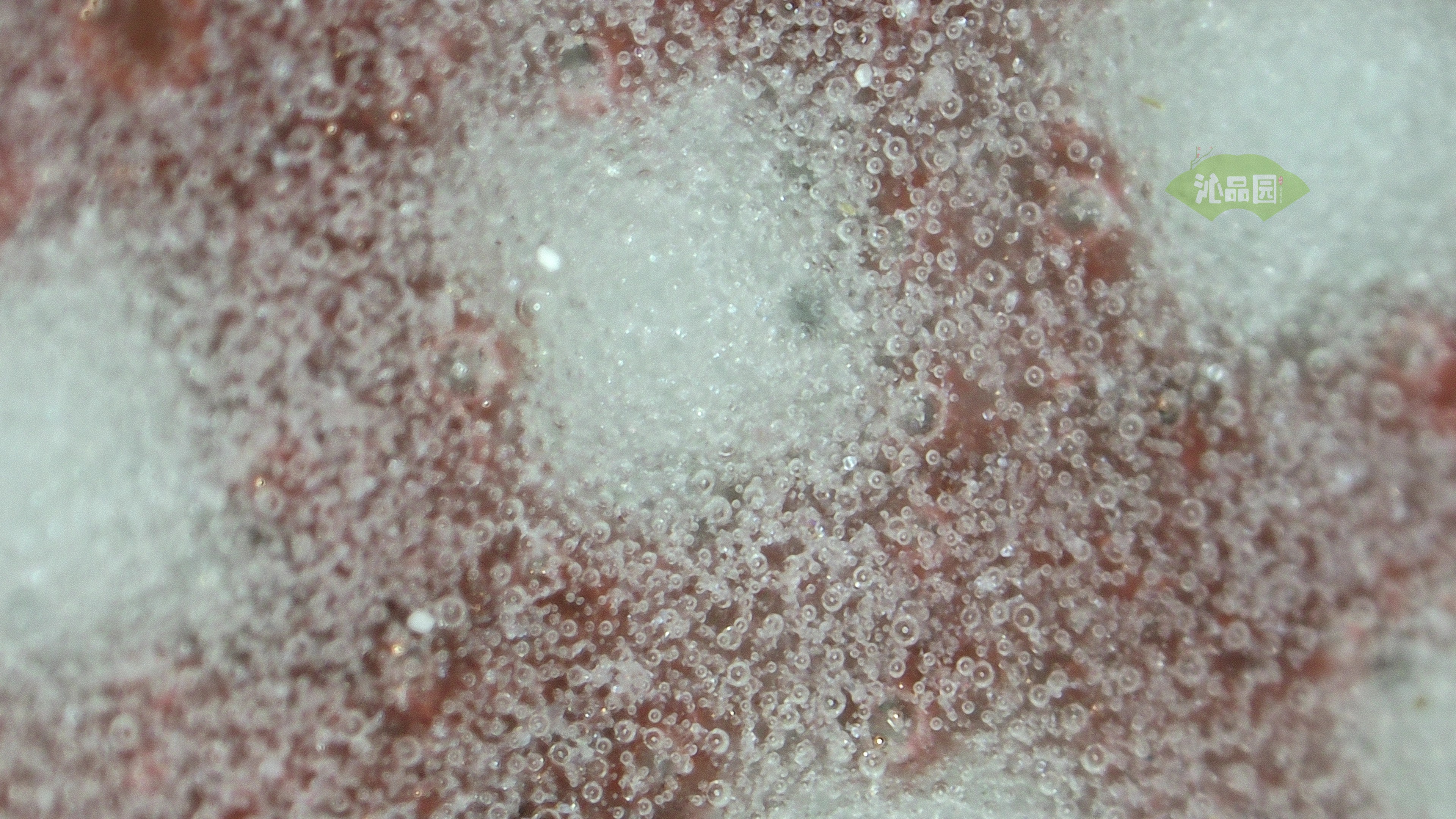 0520.jpg