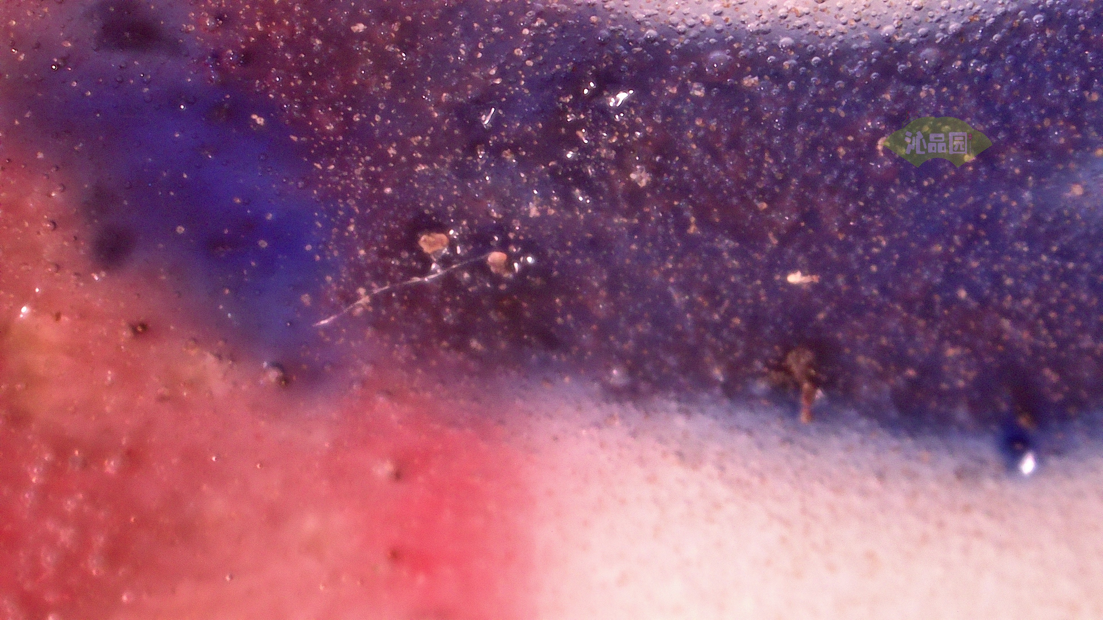 0415.jpg