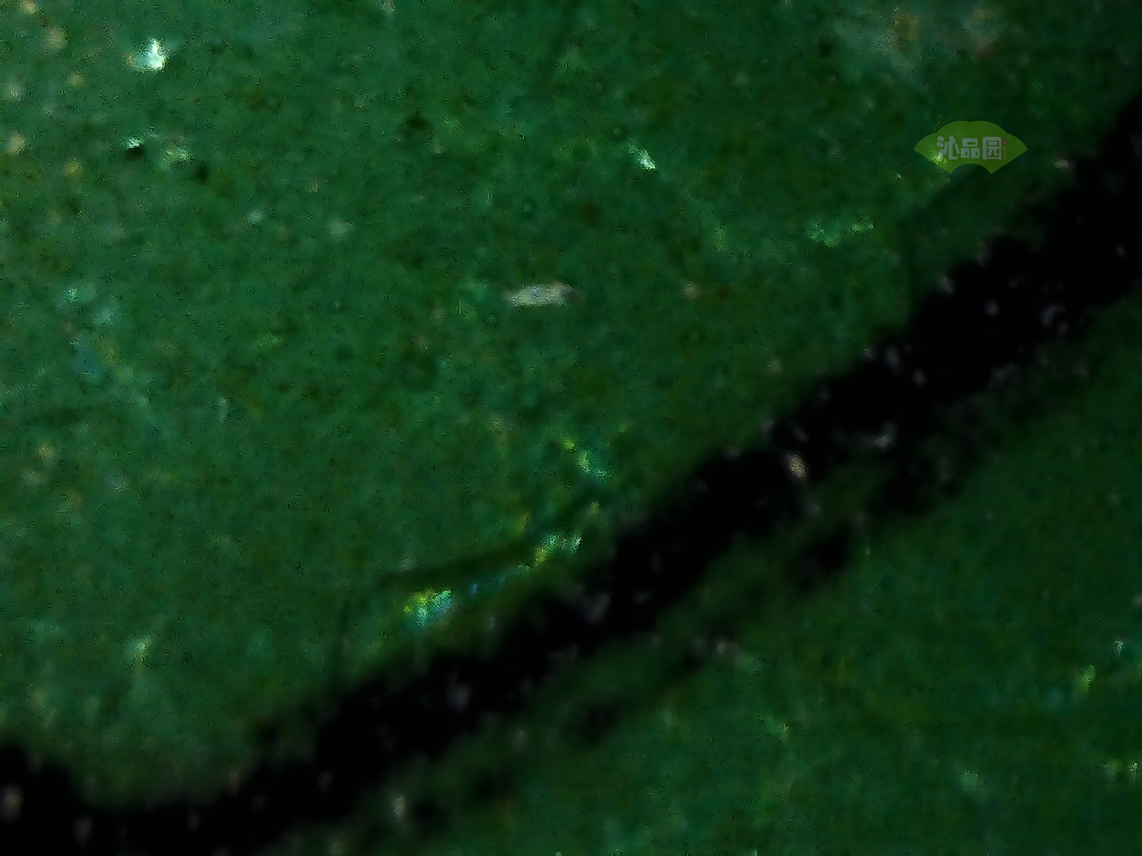 CHD00597.JPG