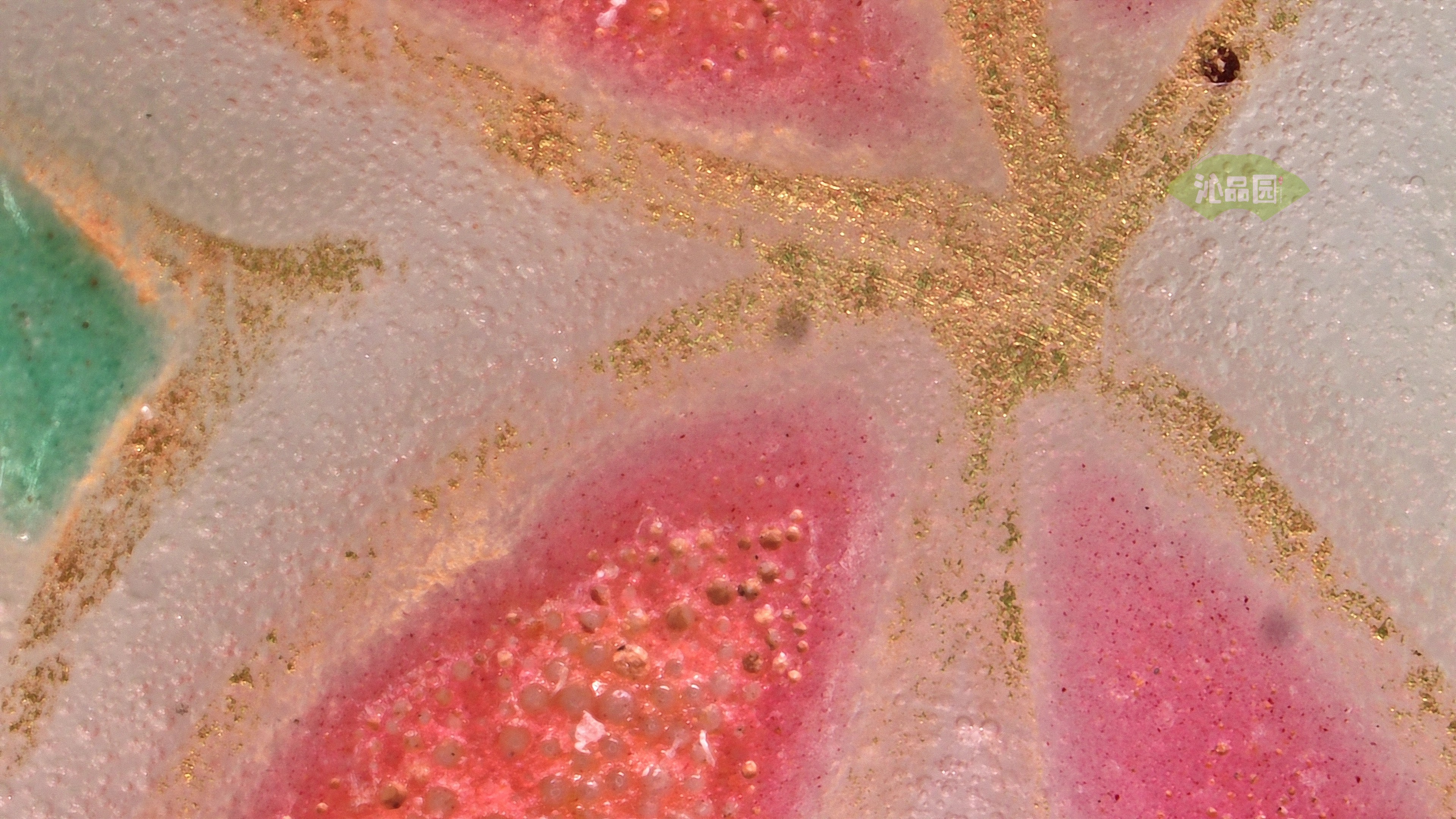 1085.jpg