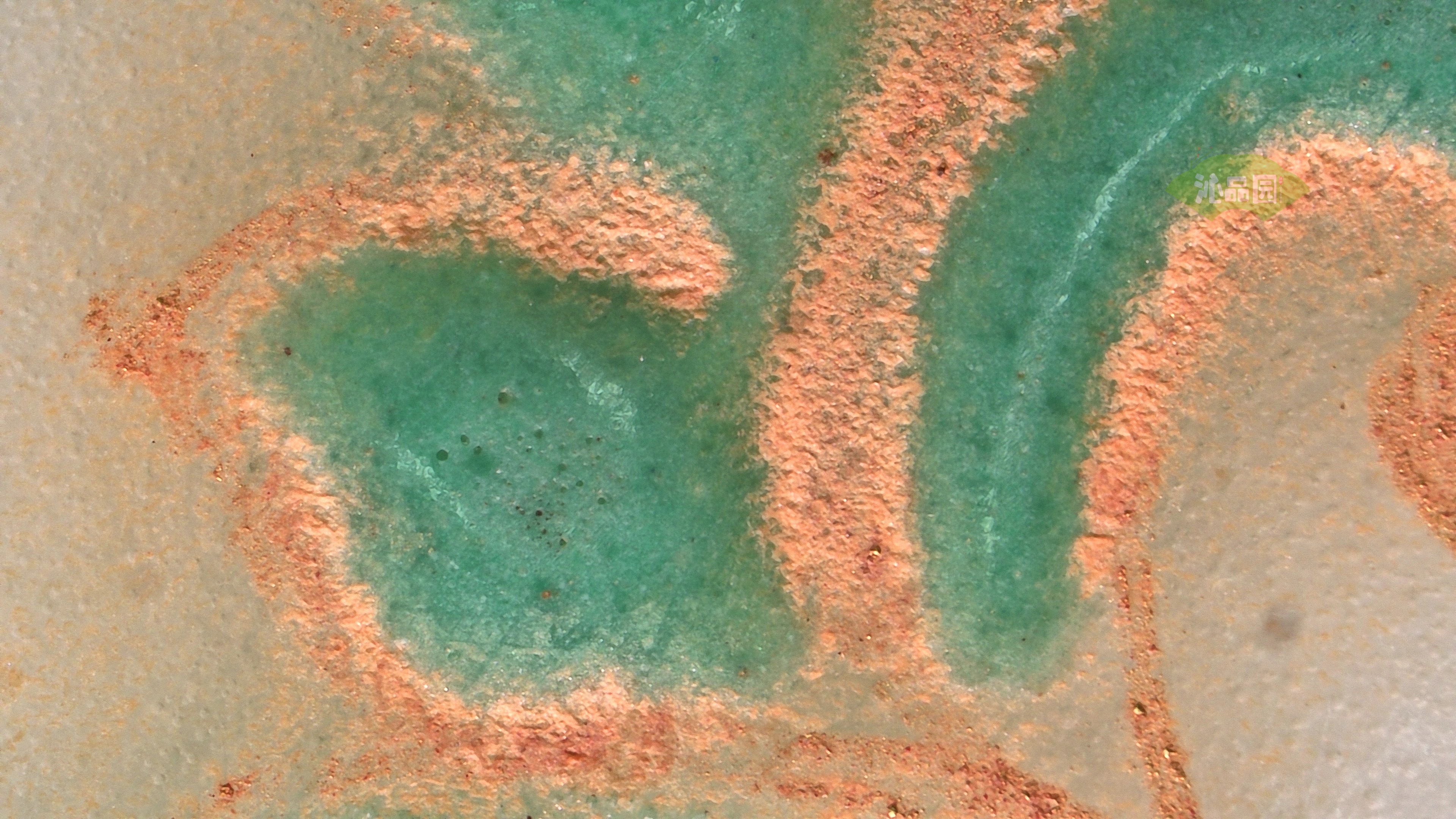 1100.jpg