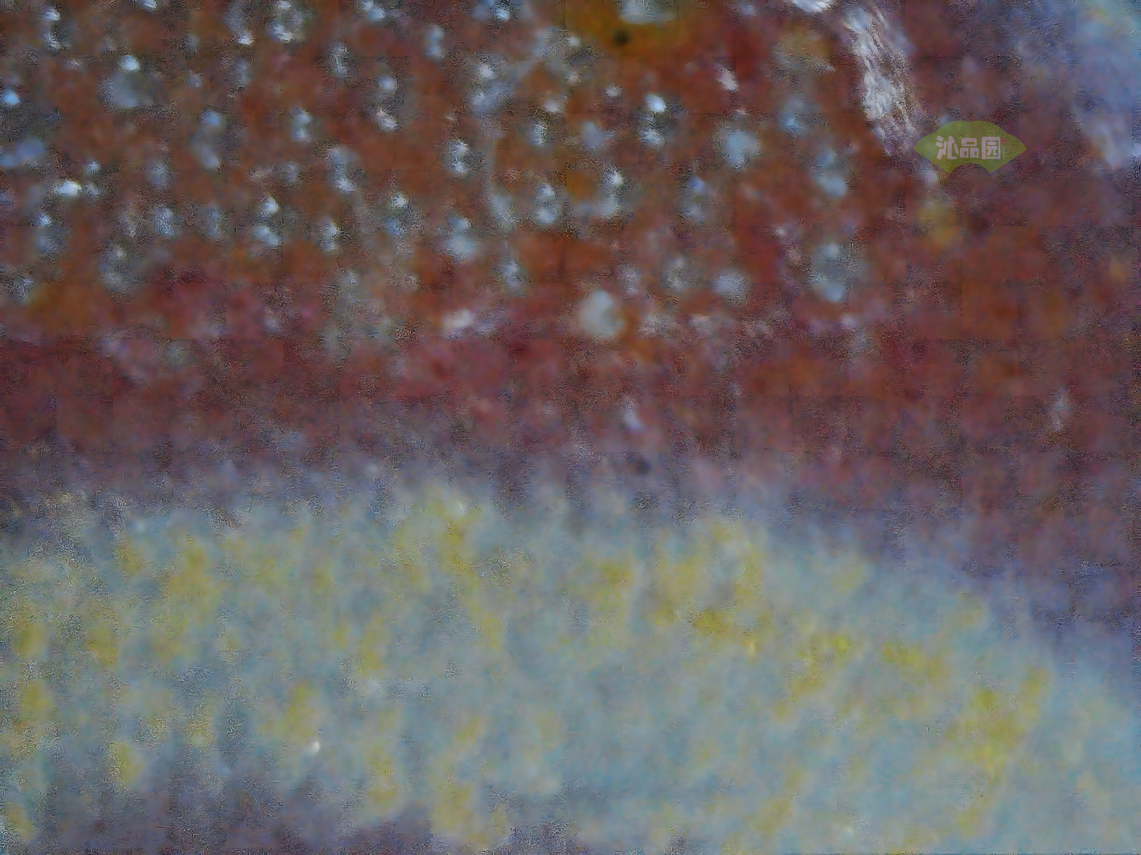 CHD00899.JPG
