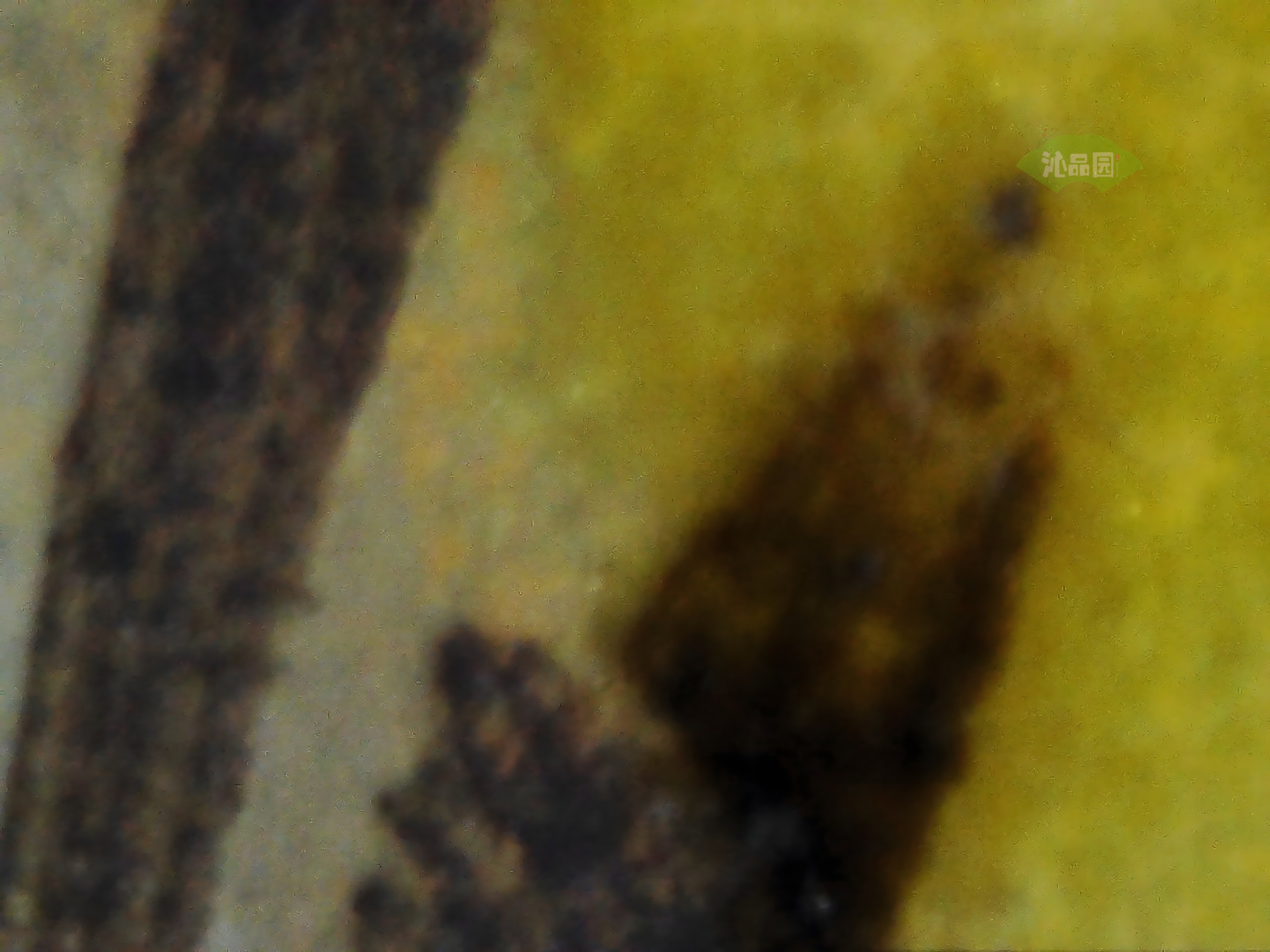 CHD00558.JPG