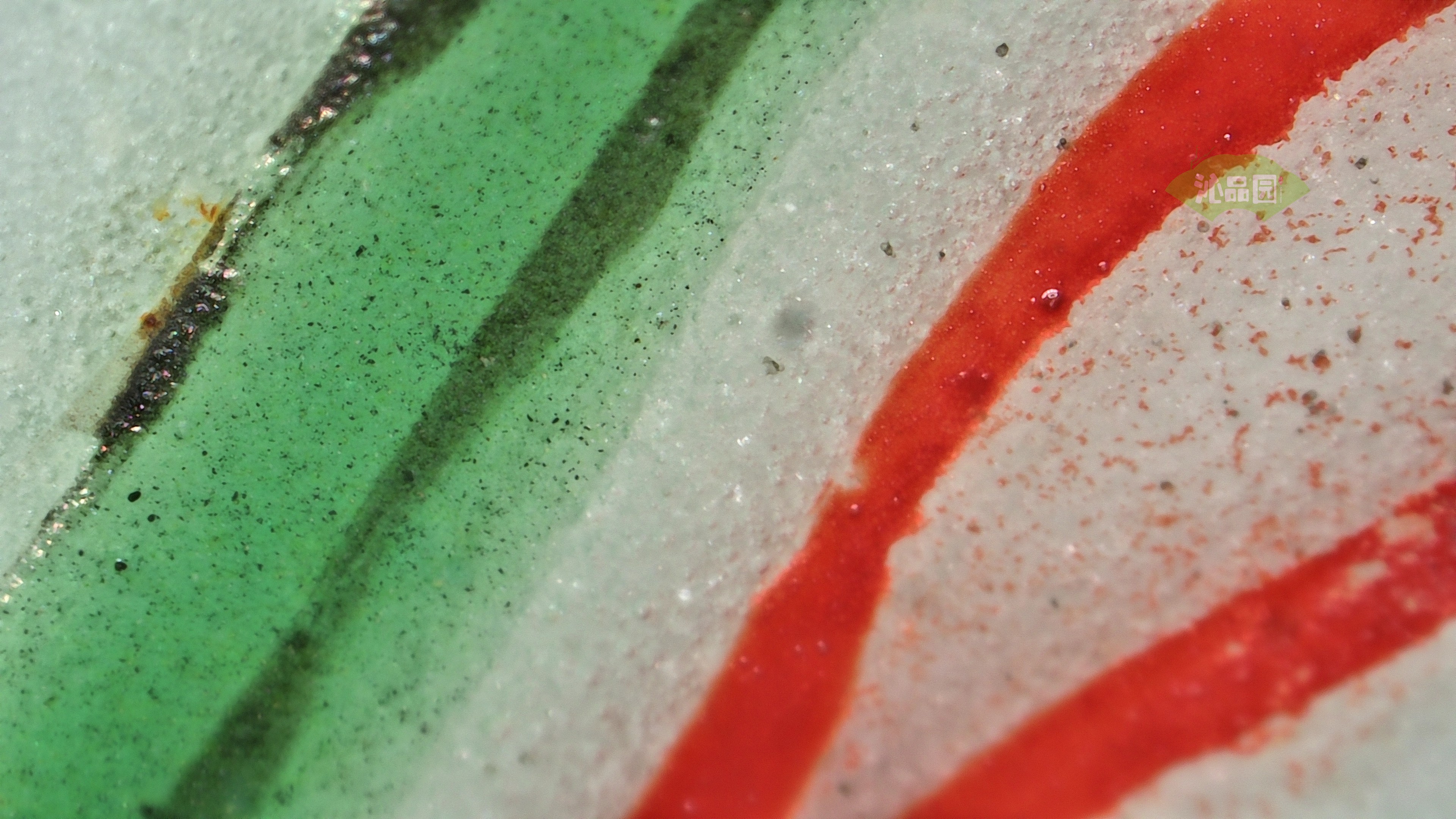 1261.jpg