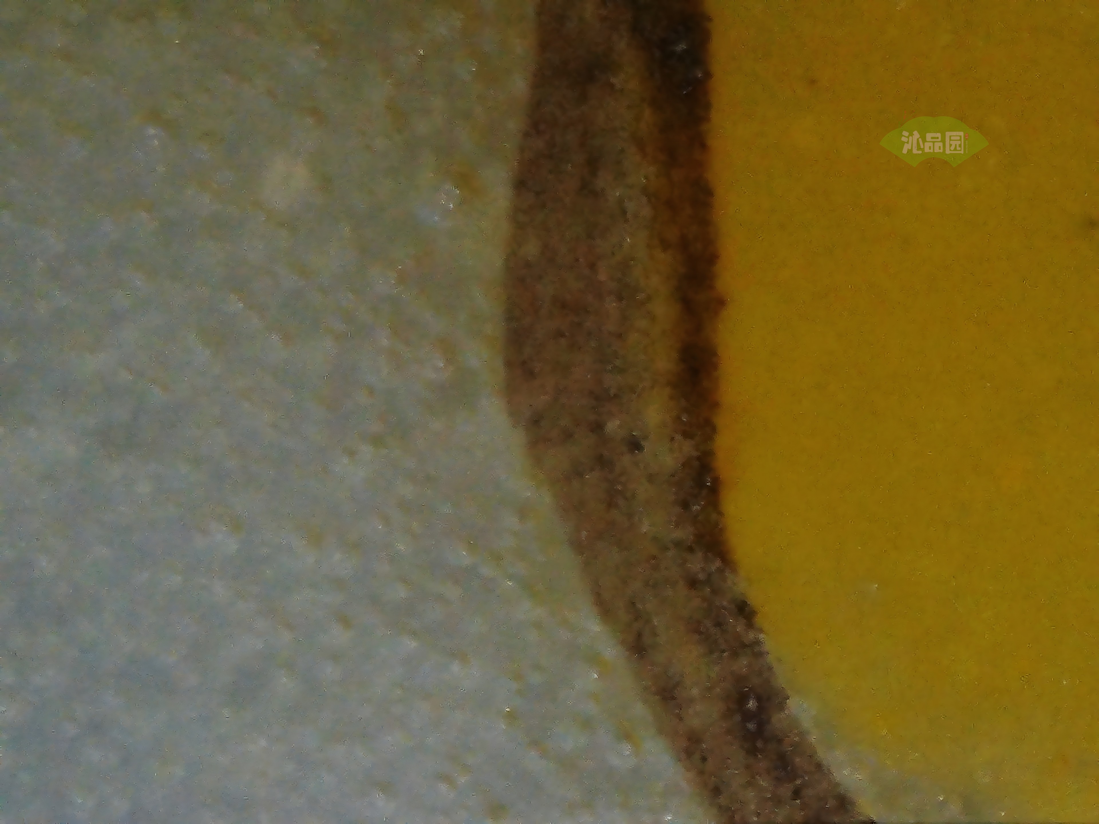 CHD00909.JPG