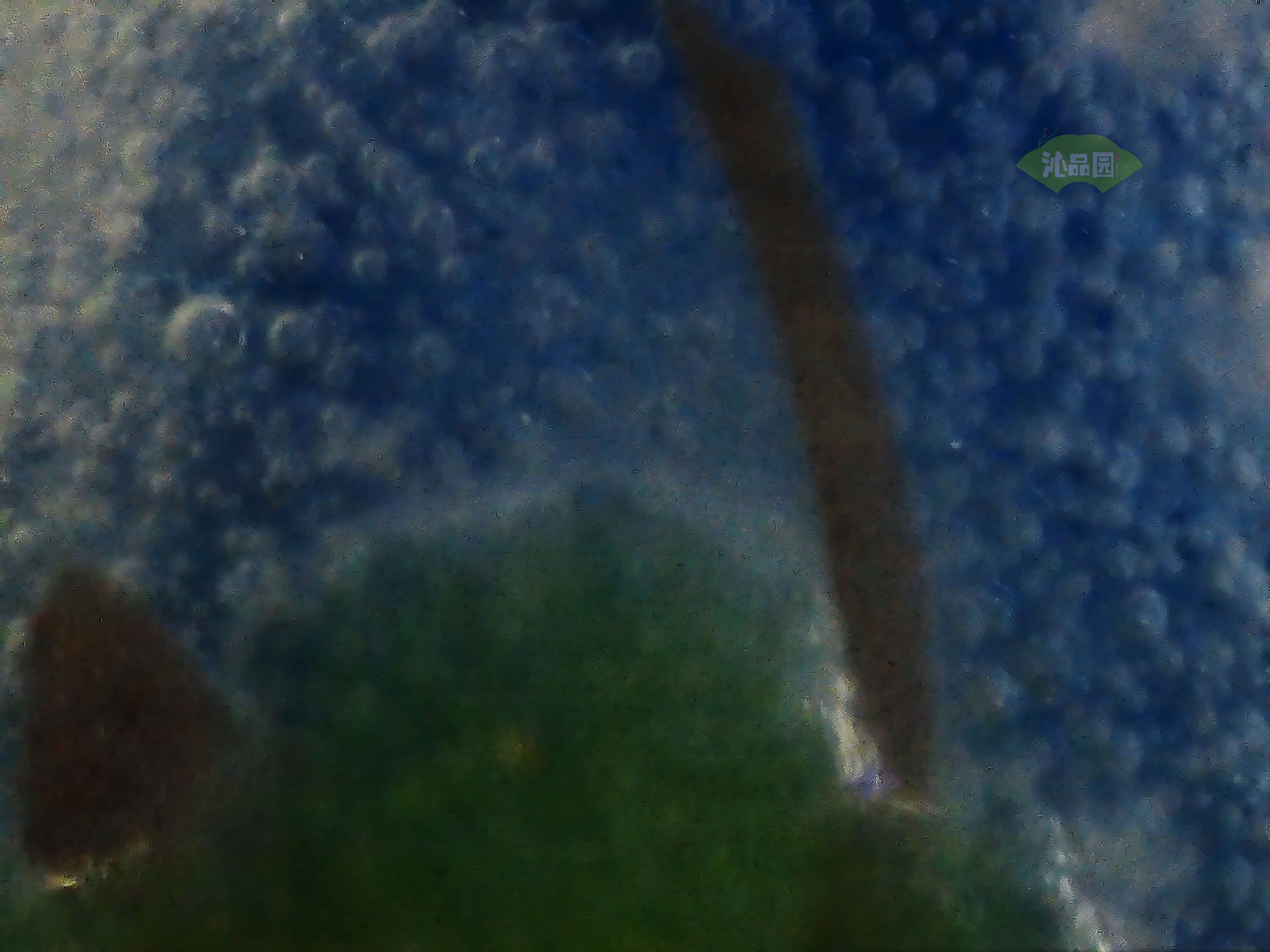 CHD00910.JPG