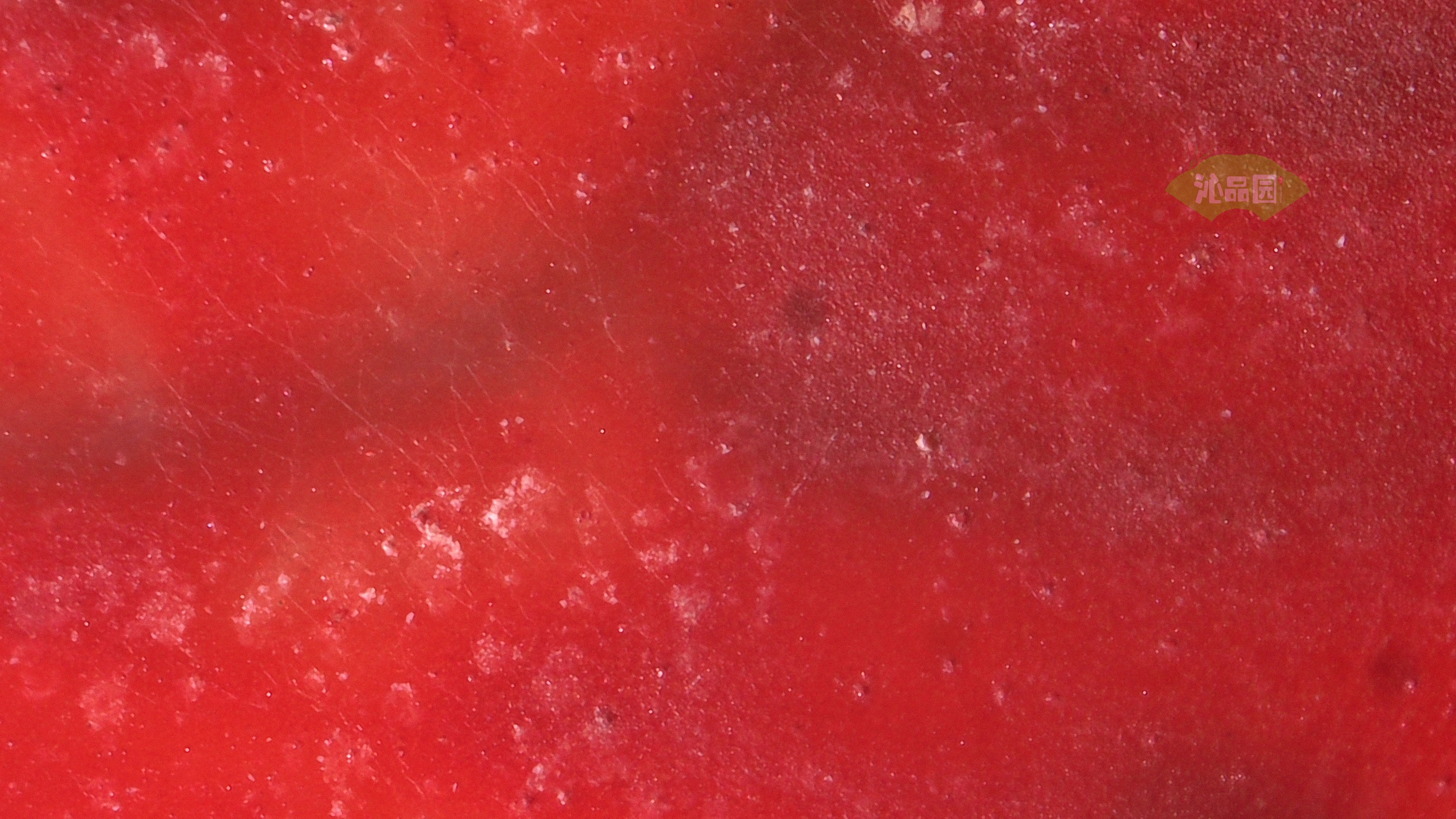 0572.jpg