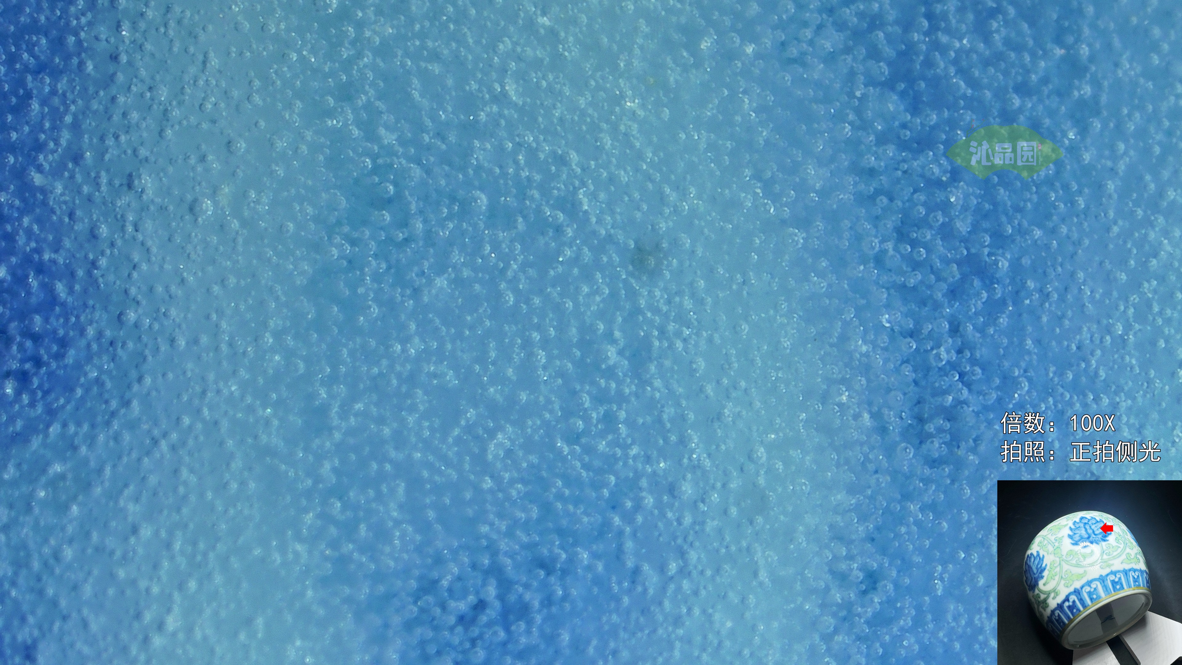 43040_02.jpg