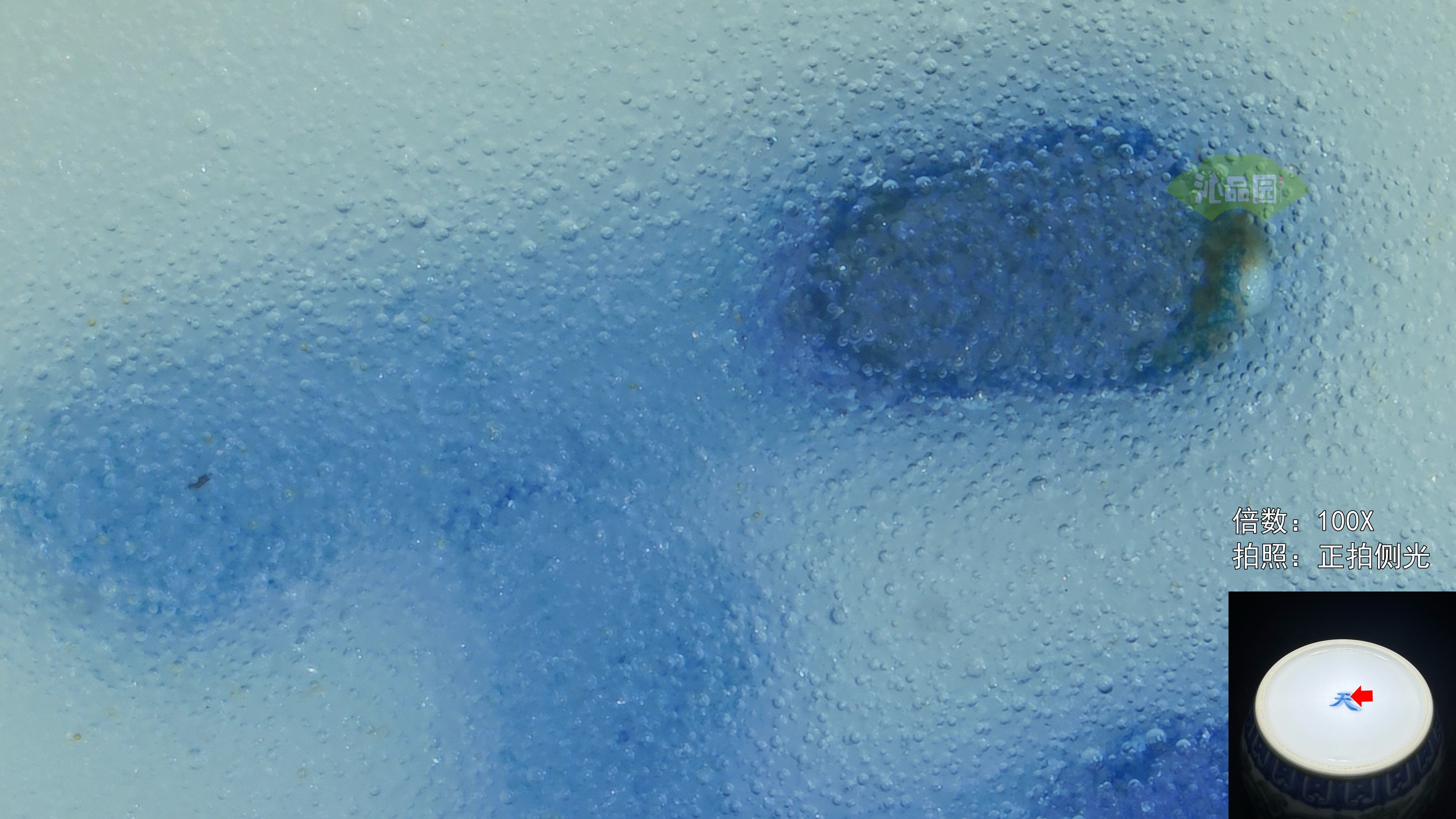 43040_08.jpg