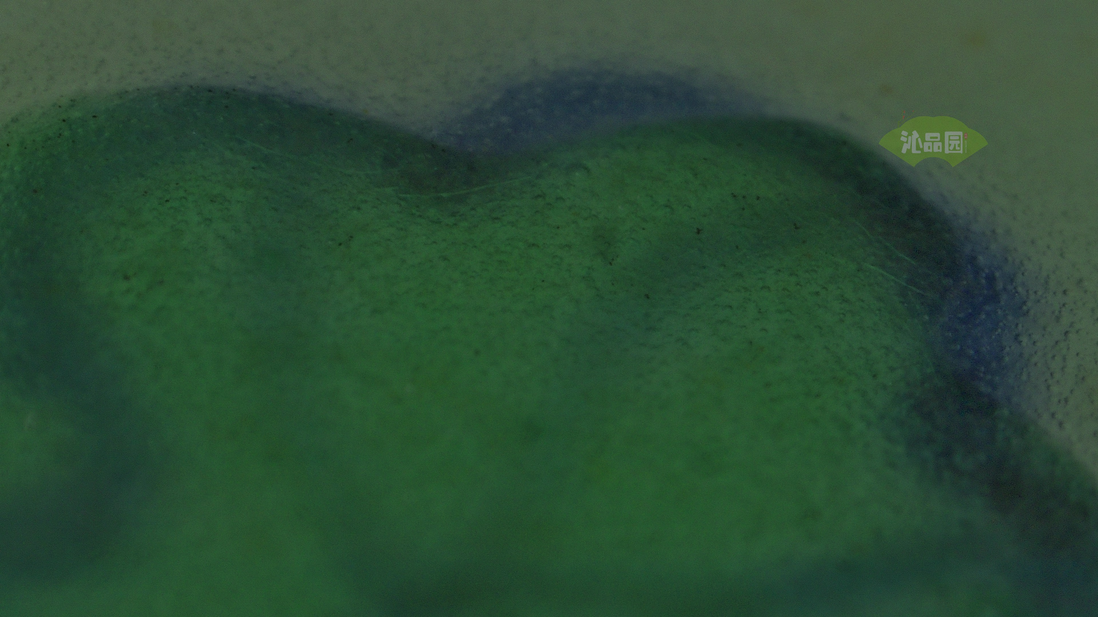 0013.jpg