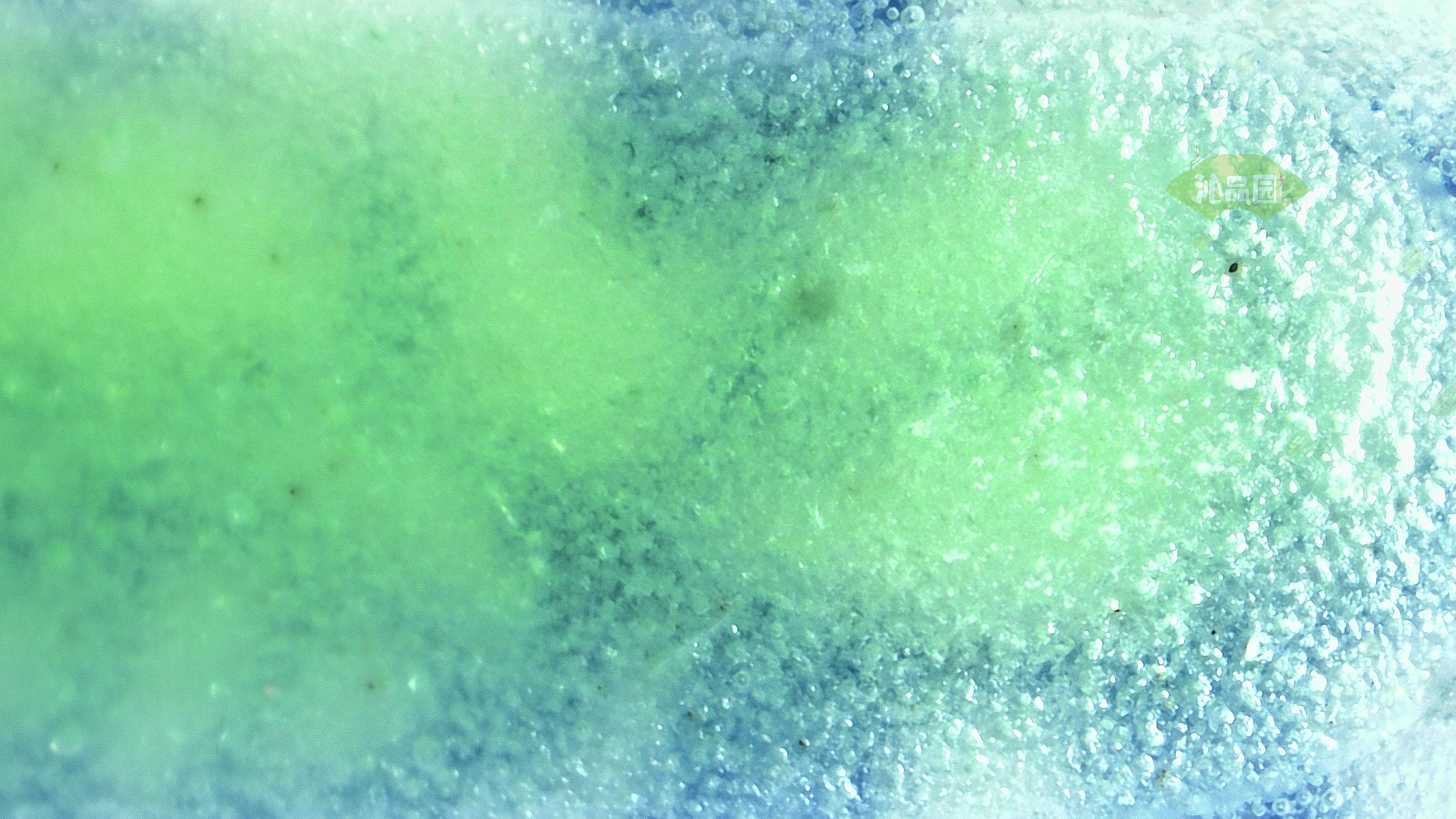 0200.jpg