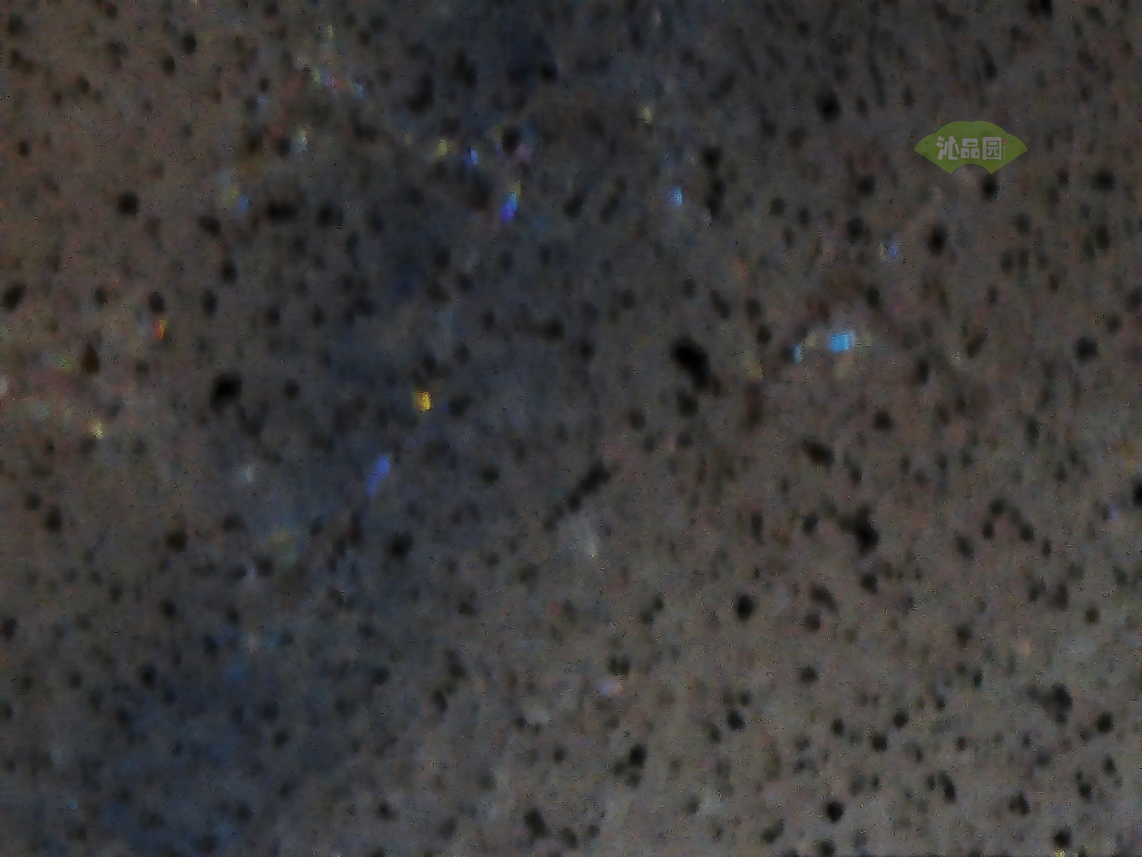 CHD00668.JPG