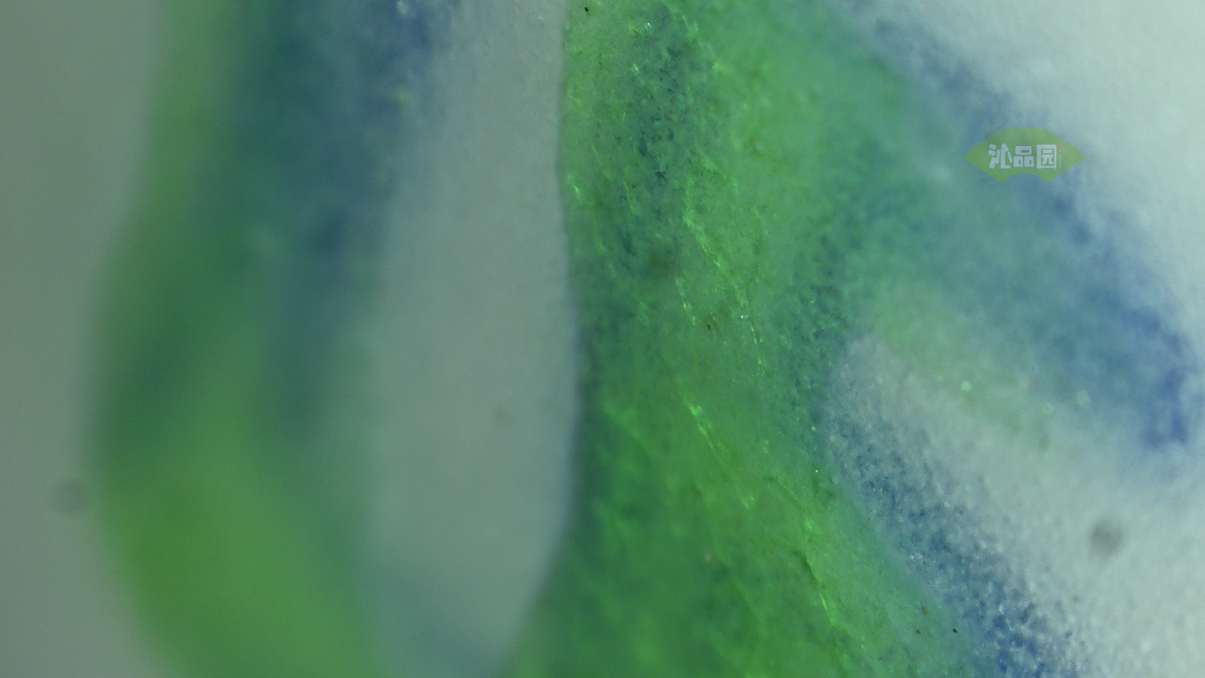 0045.jpg