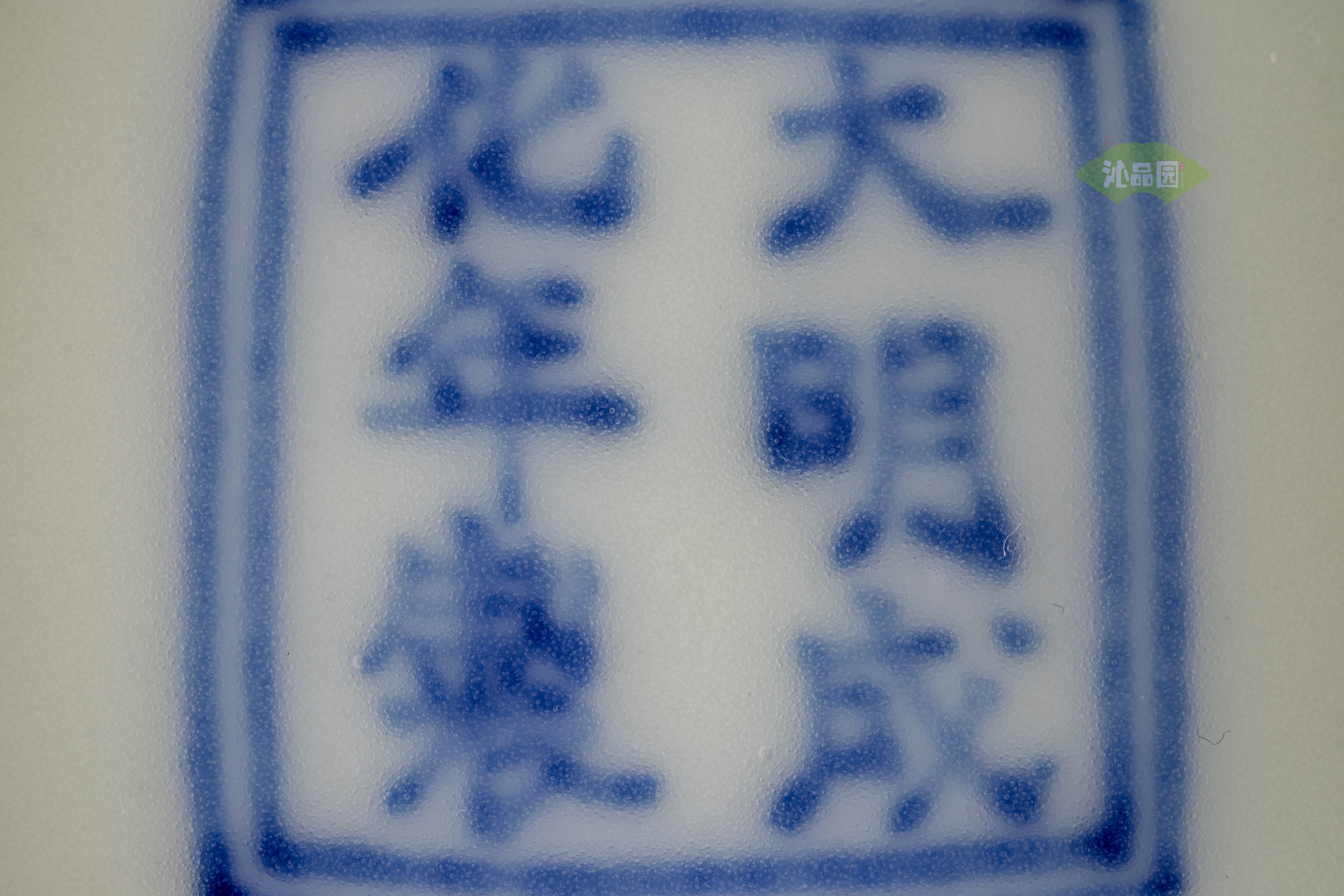 08.jpg