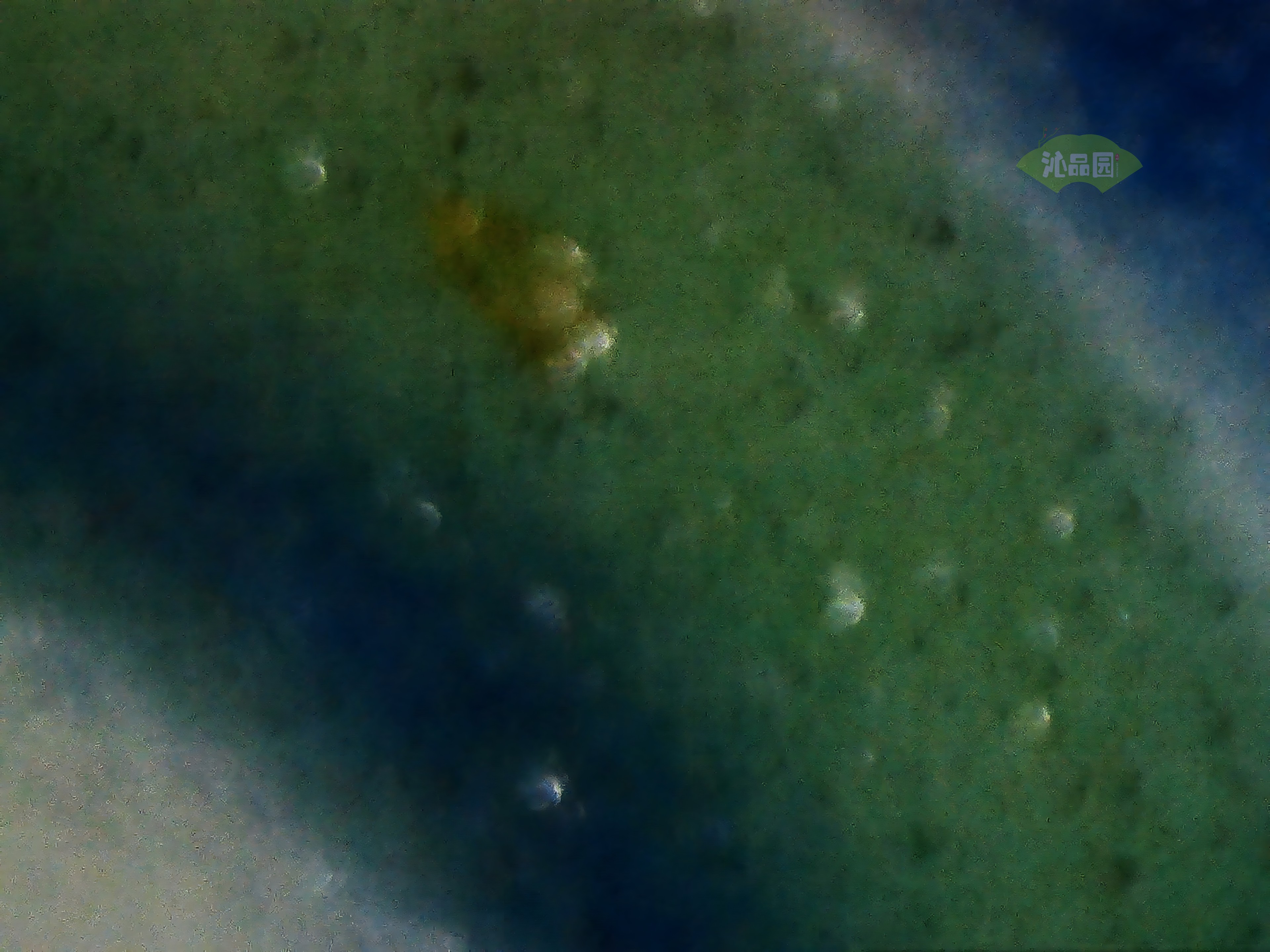 CHD00675.JPG