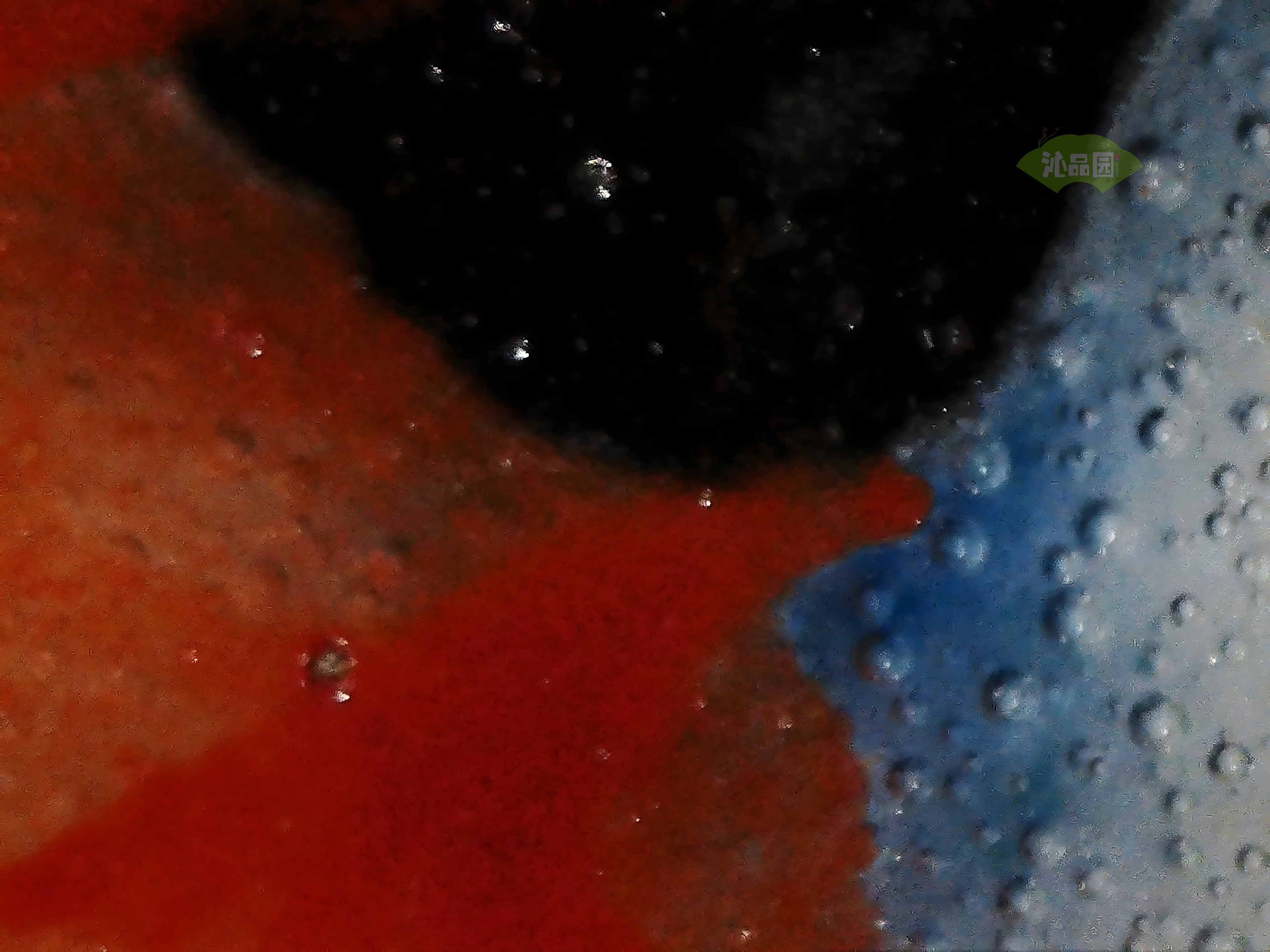 CHD00846.JPG