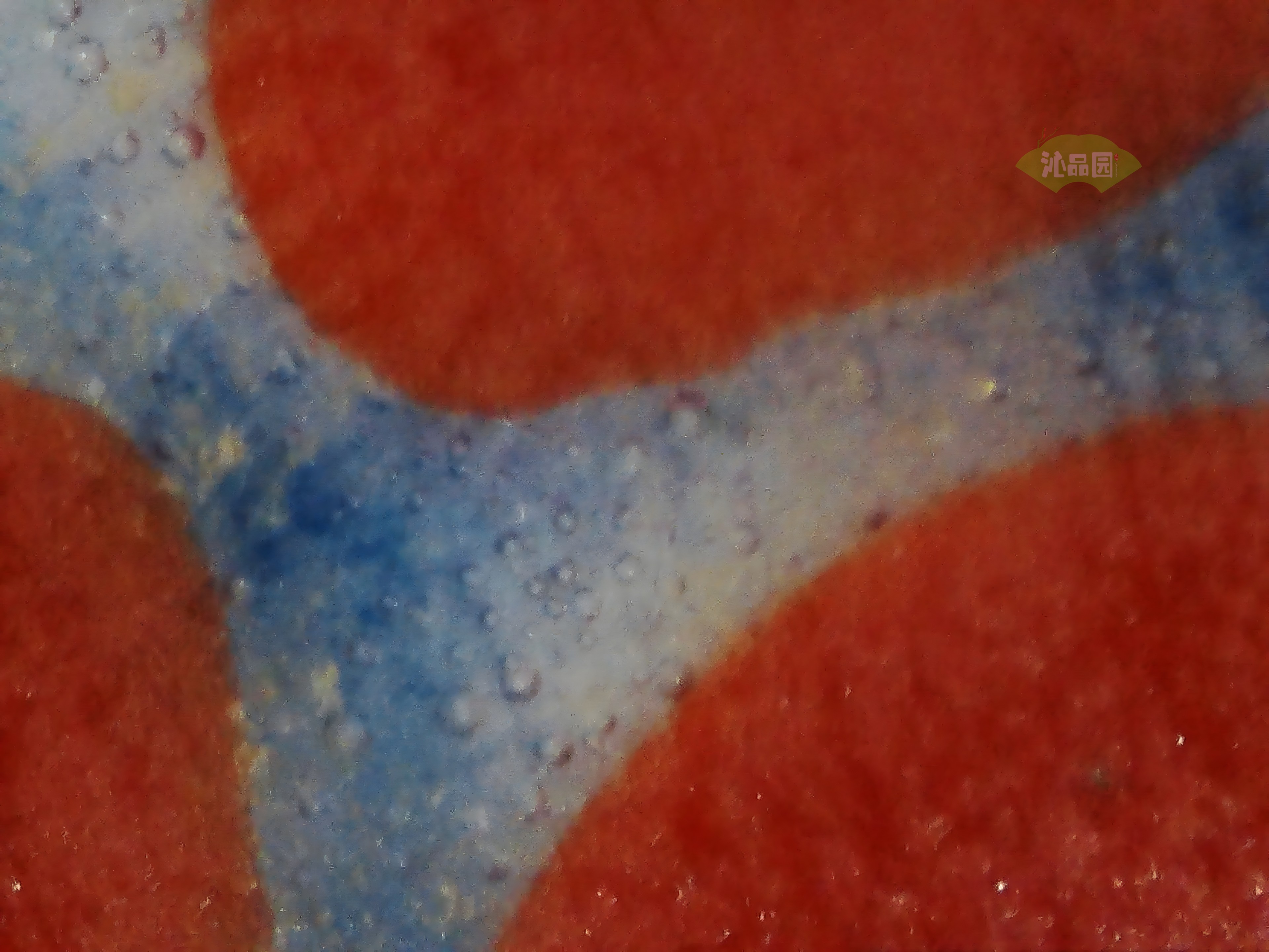 CHD00851.JPG