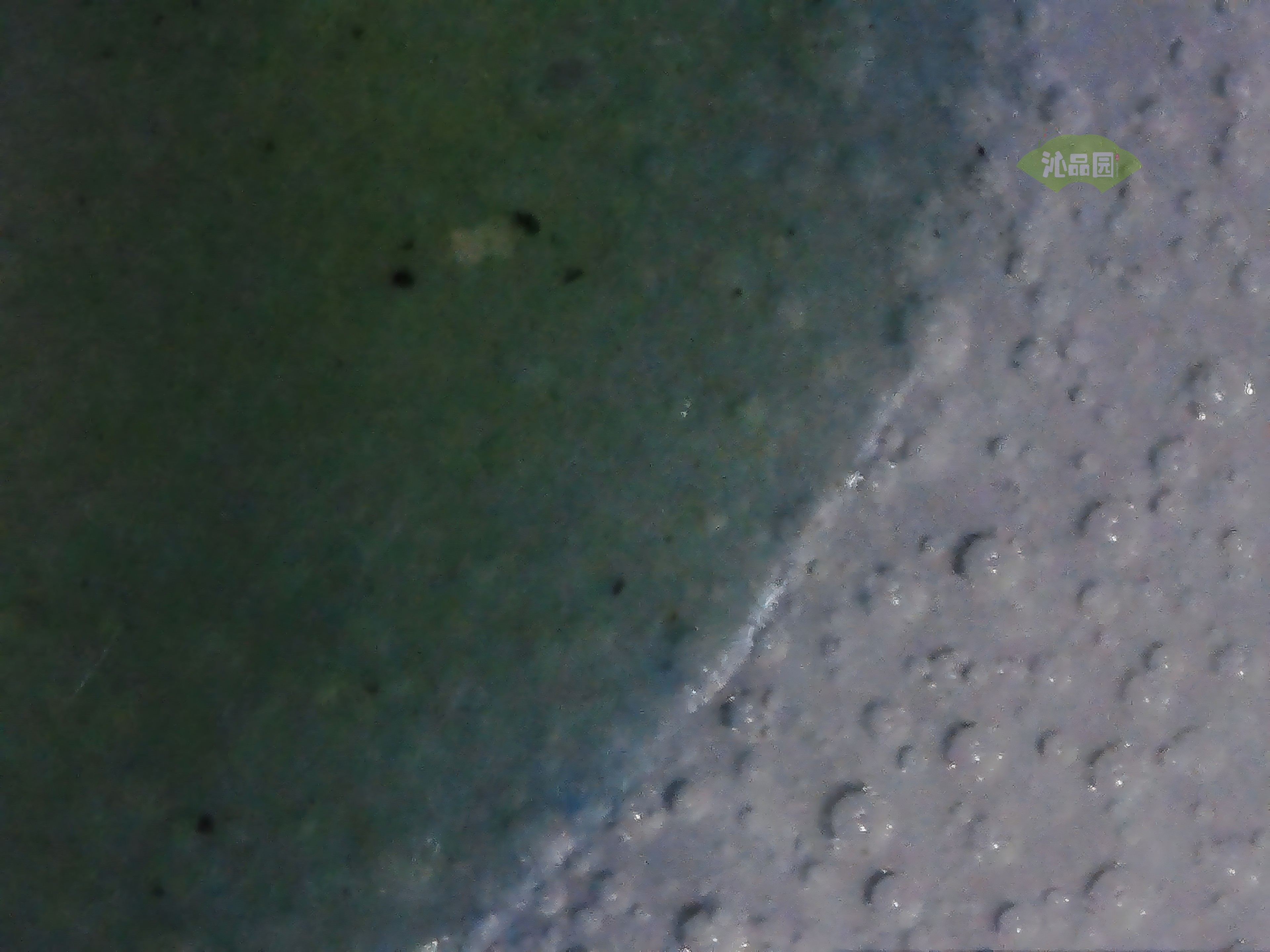 CHD00856.JPG