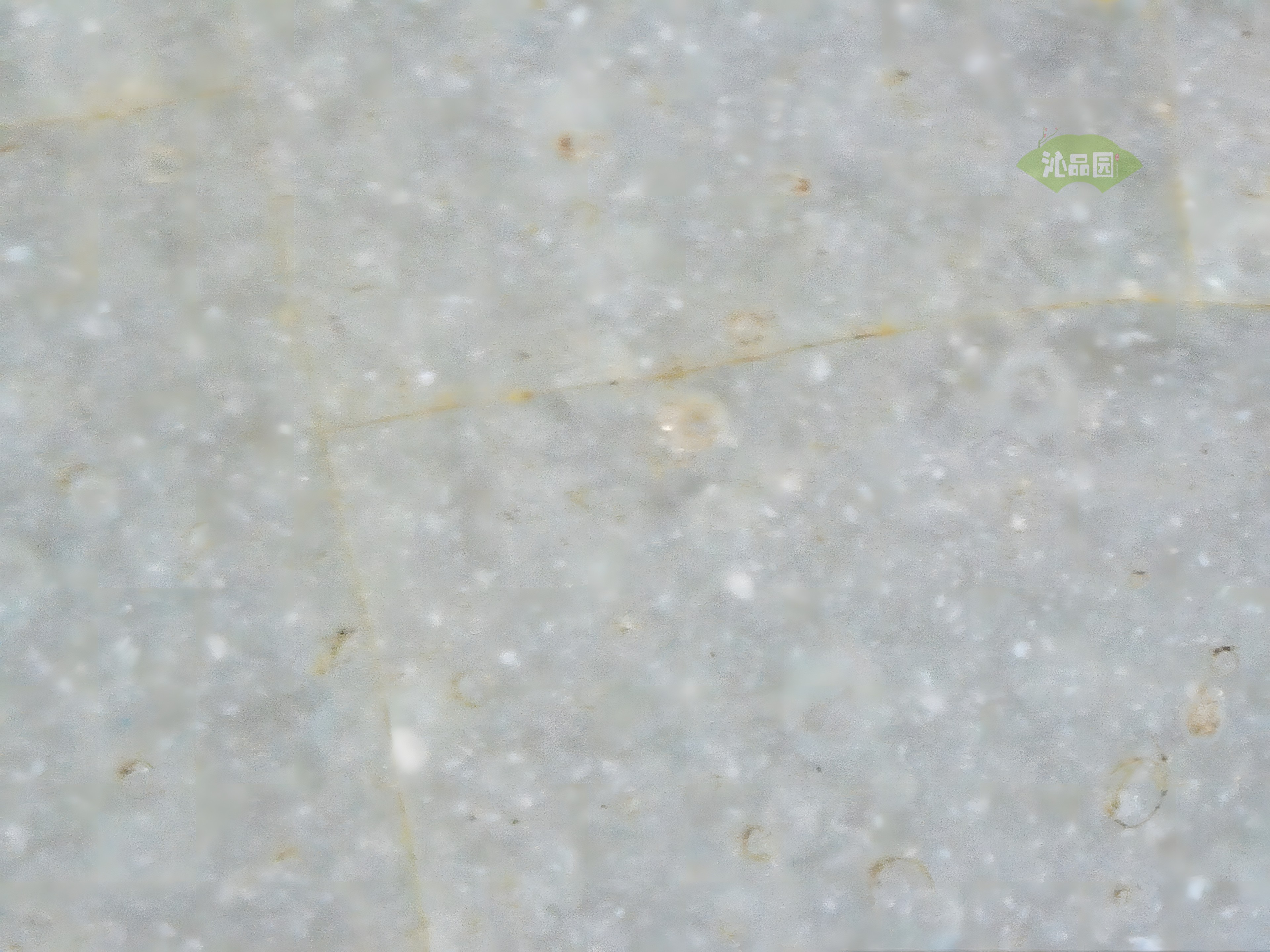 CHD00170.JPG
