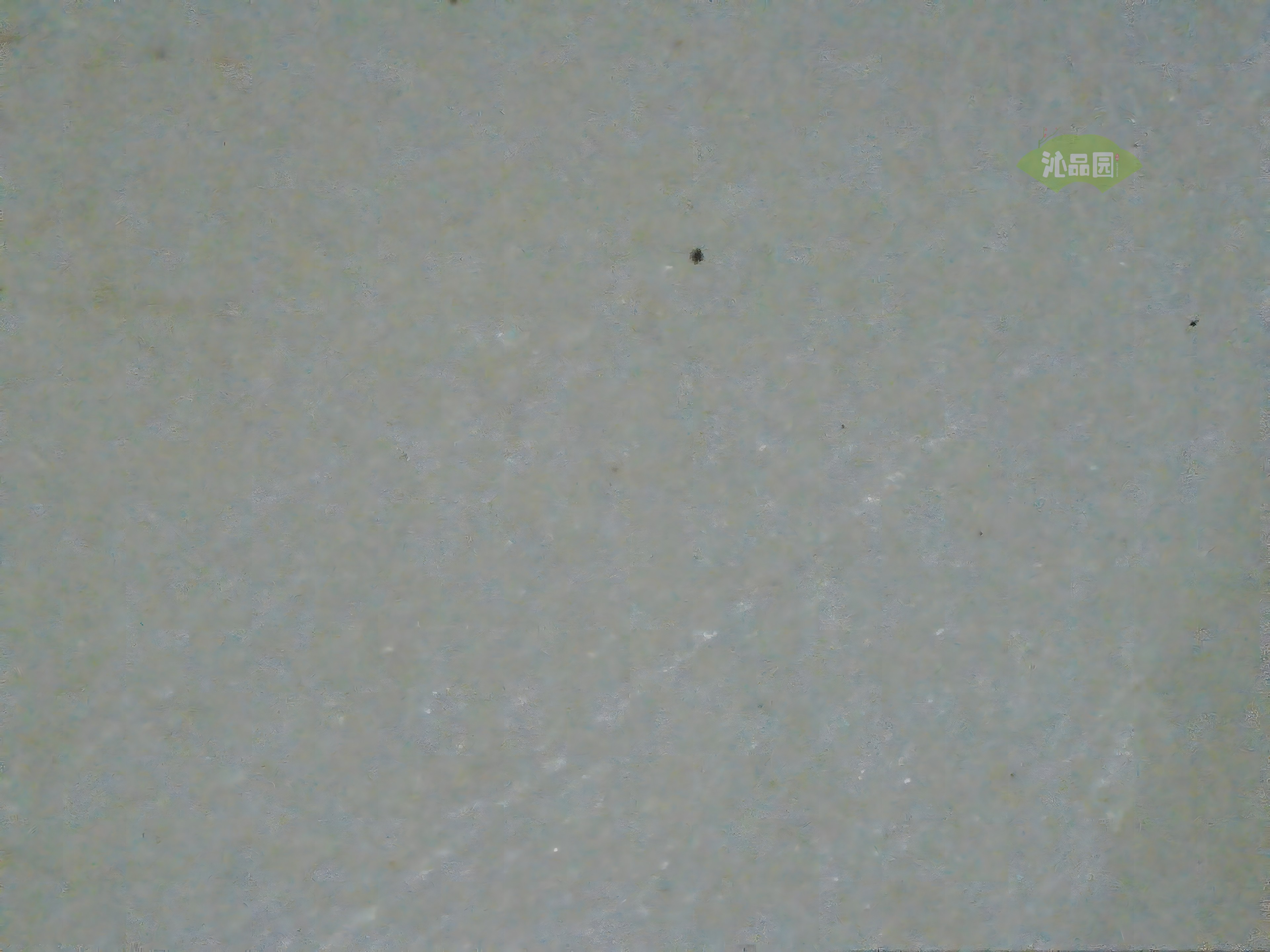 CHD00914.JPG
