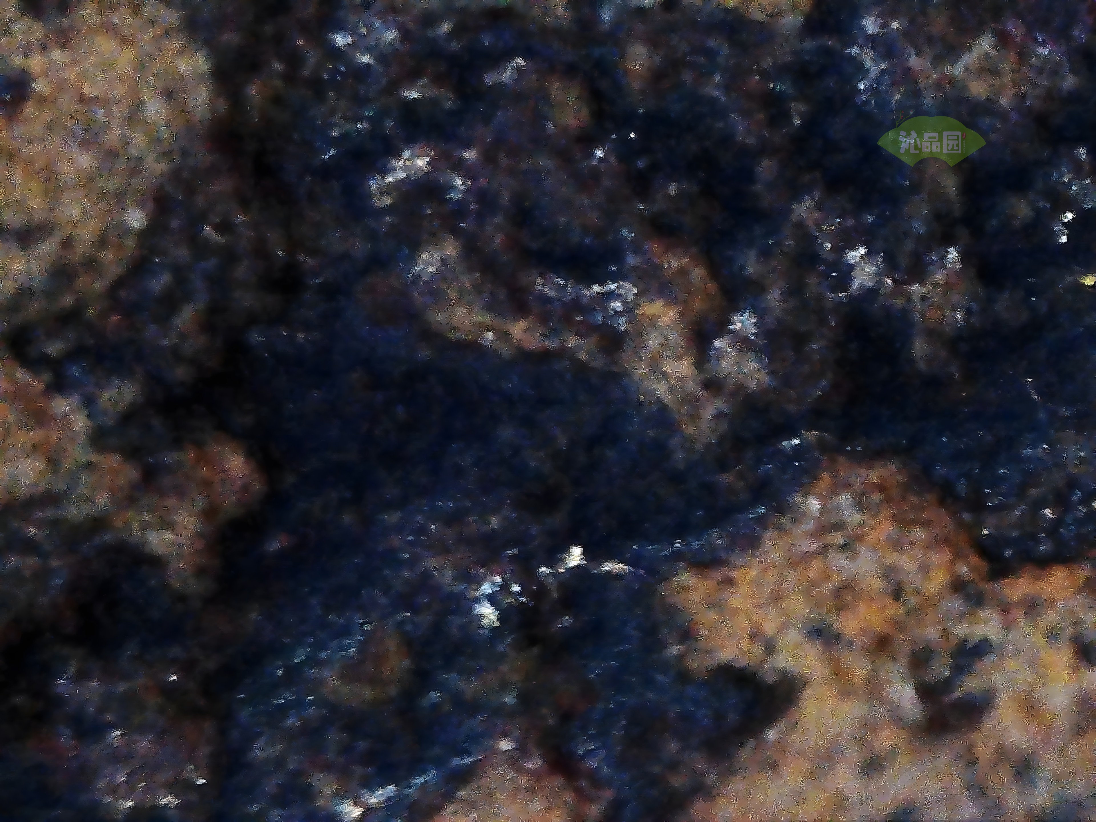 CHD00464.JPG