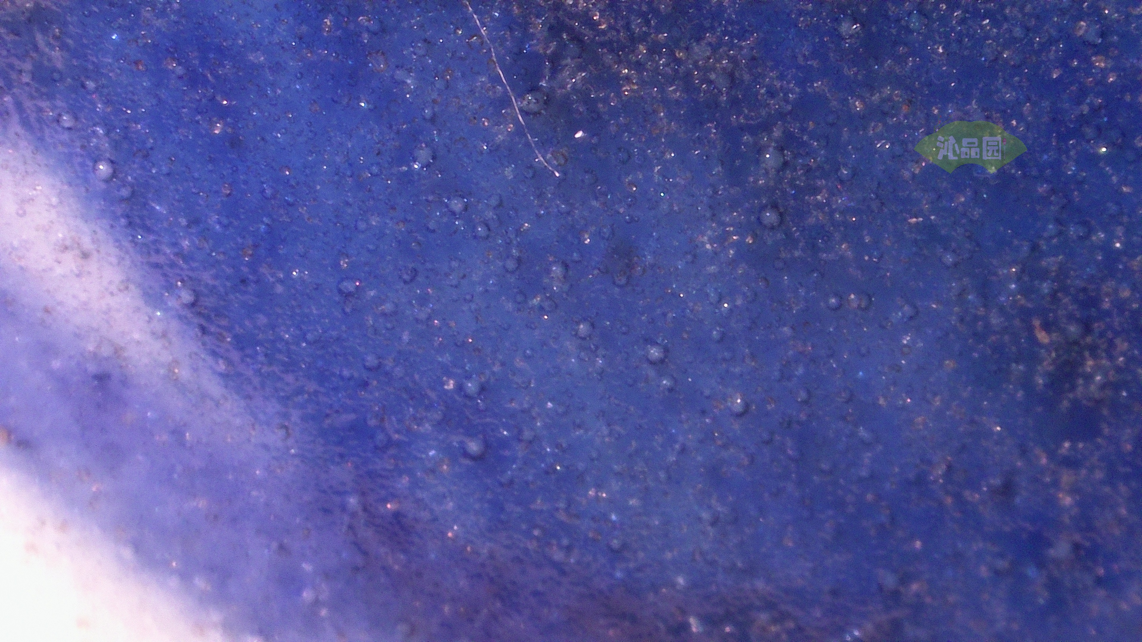 1161.jpg