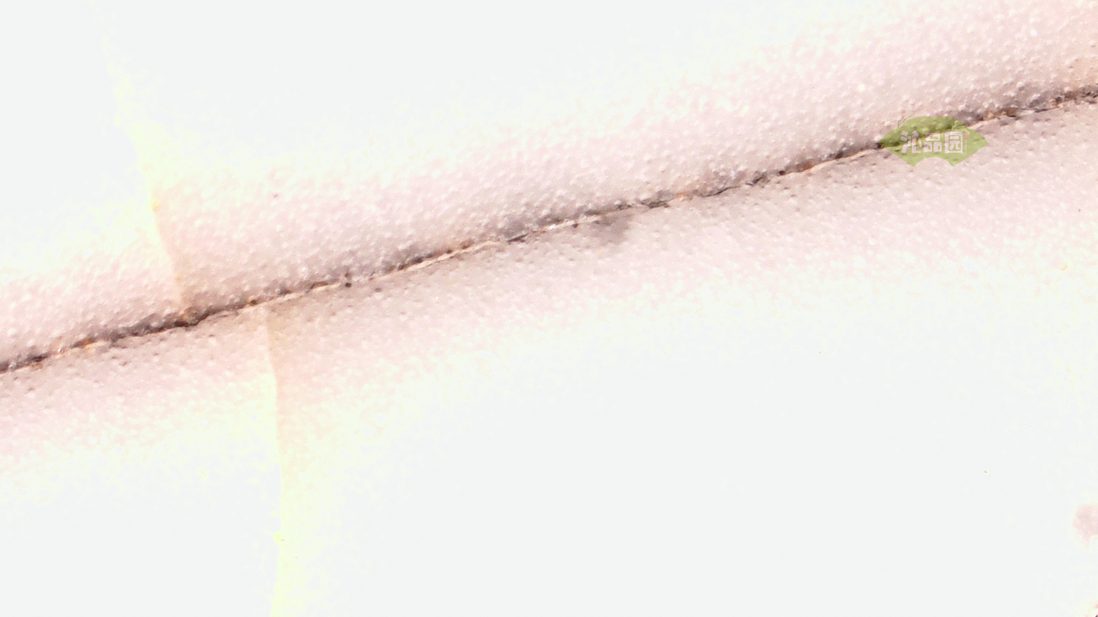 0081.jpg