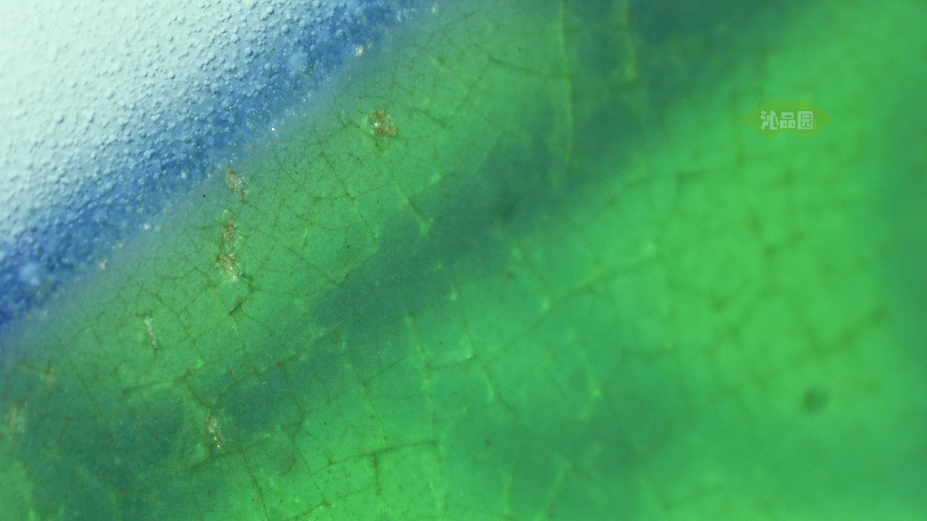 0207.jpg