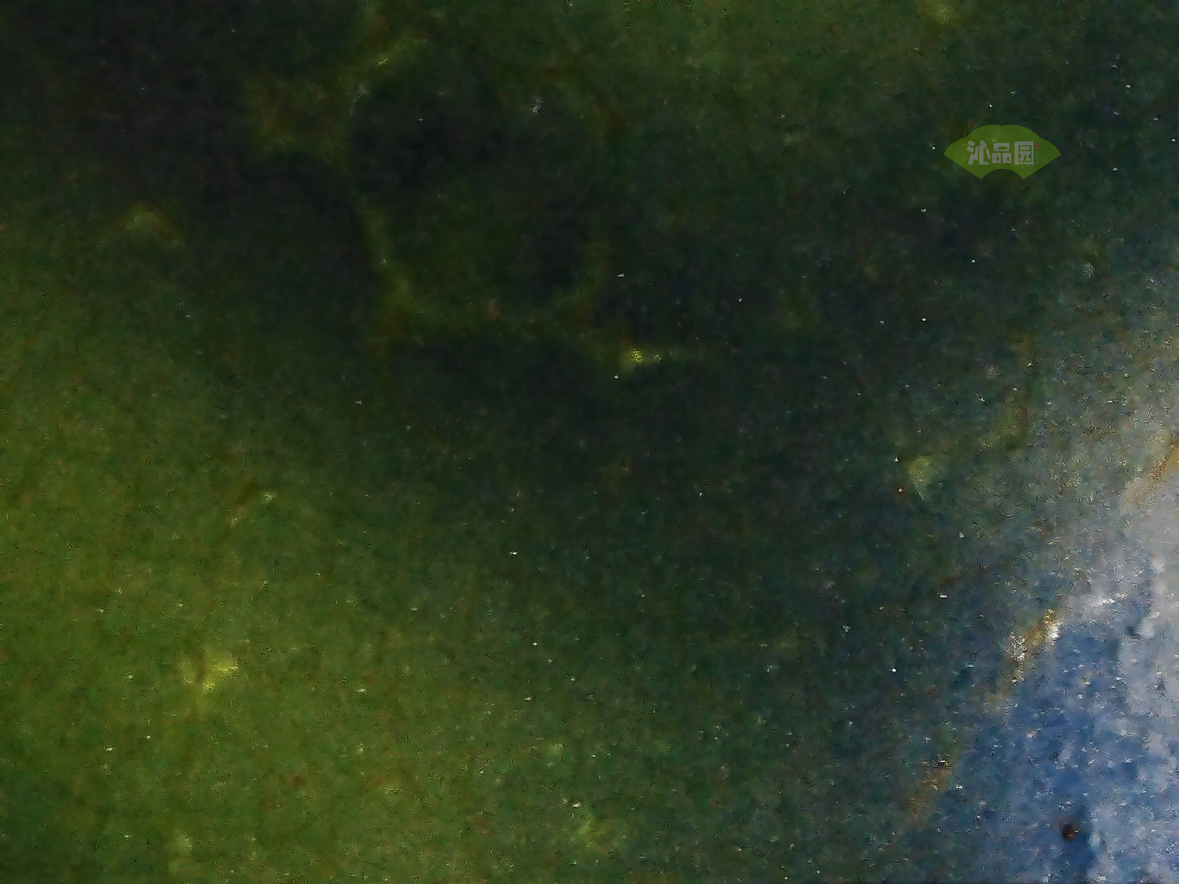 CHD00671.JPG