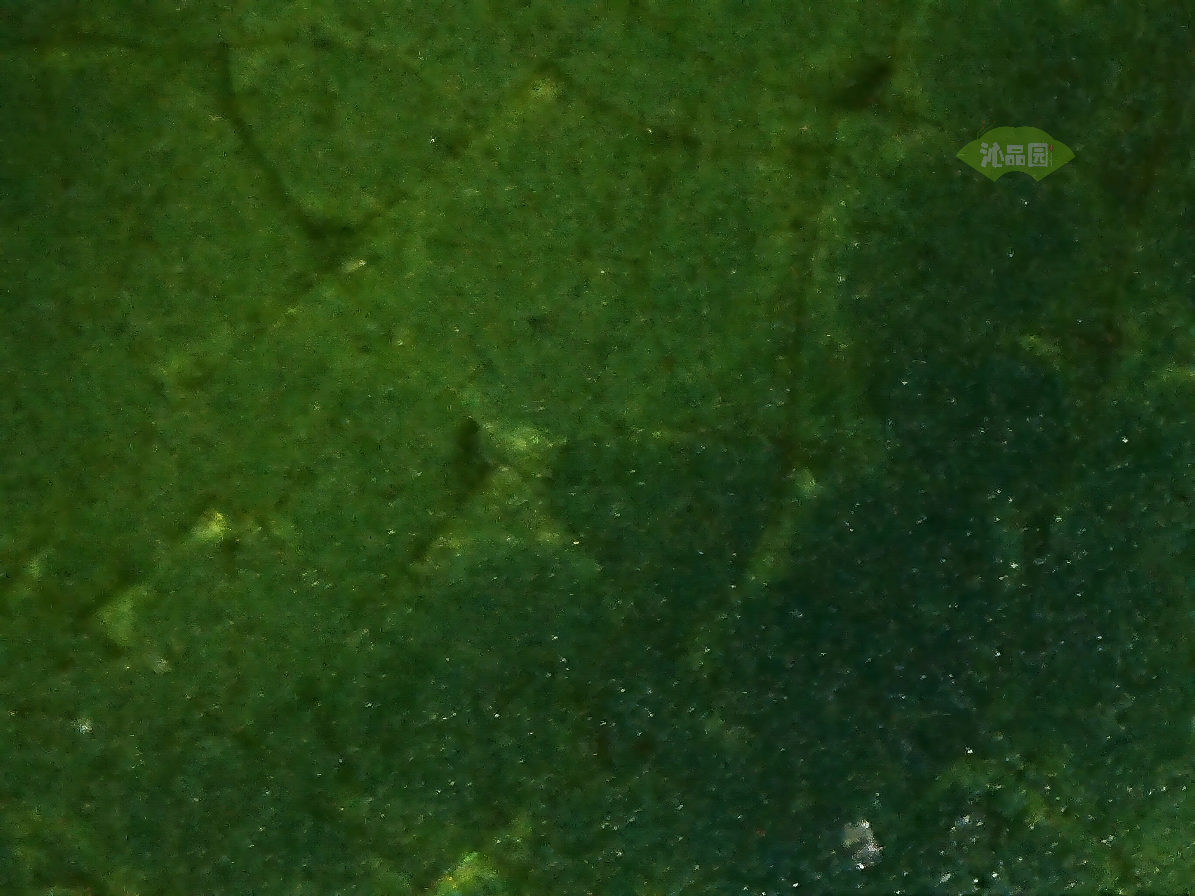 CHD00672.JPG
