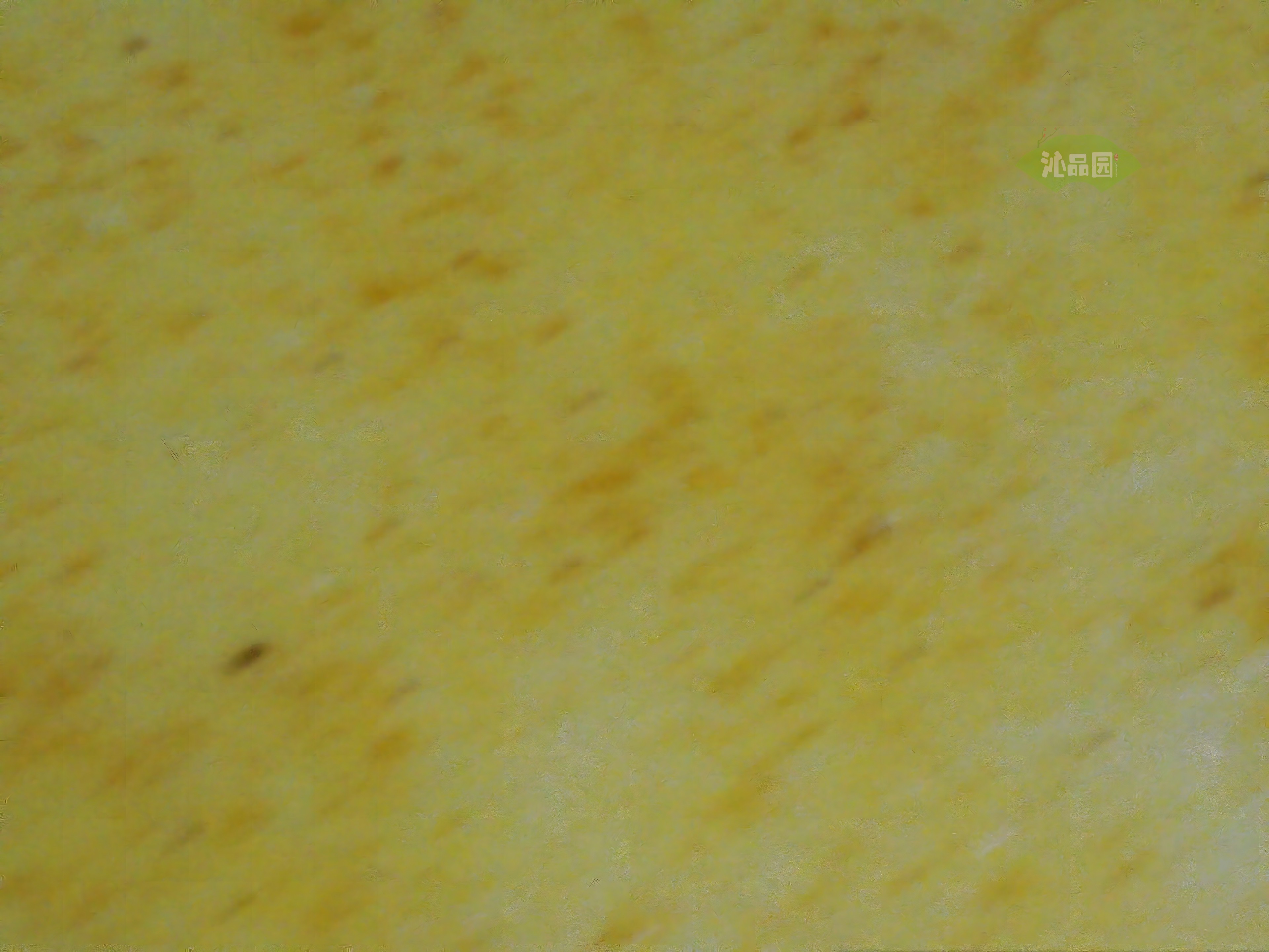 CHD00931.JPG