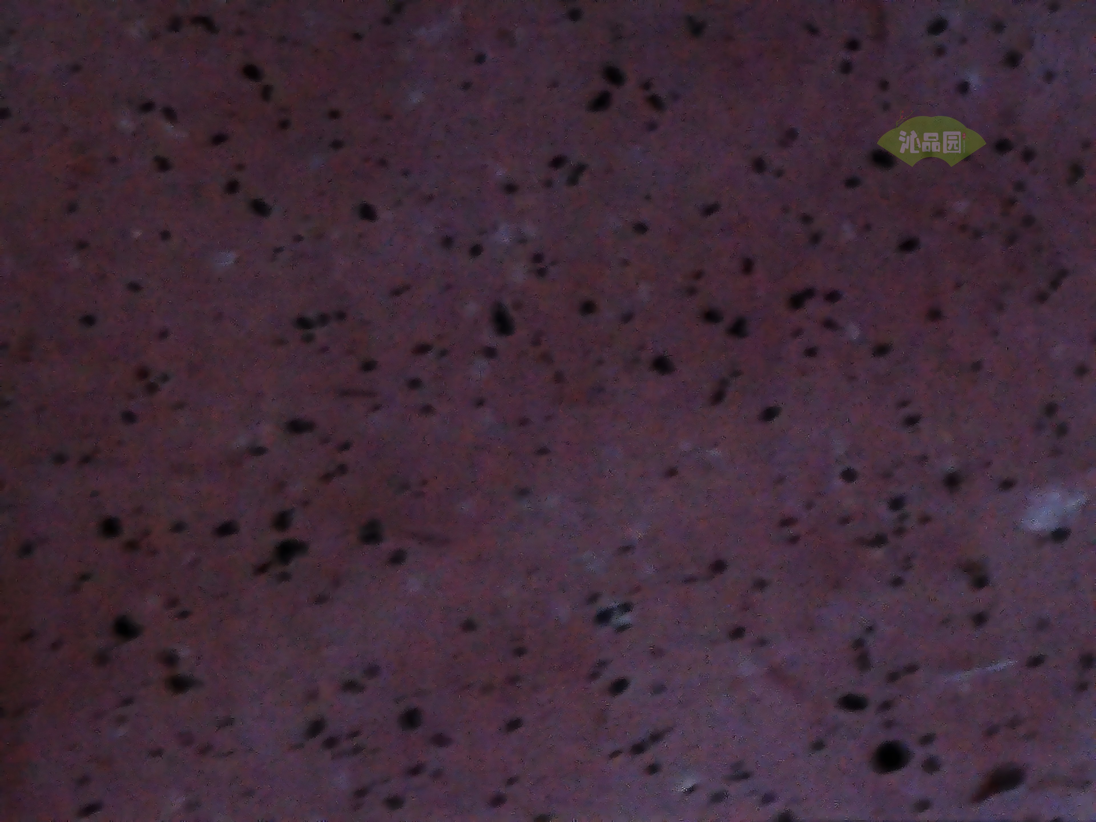 CHD00934.JPG