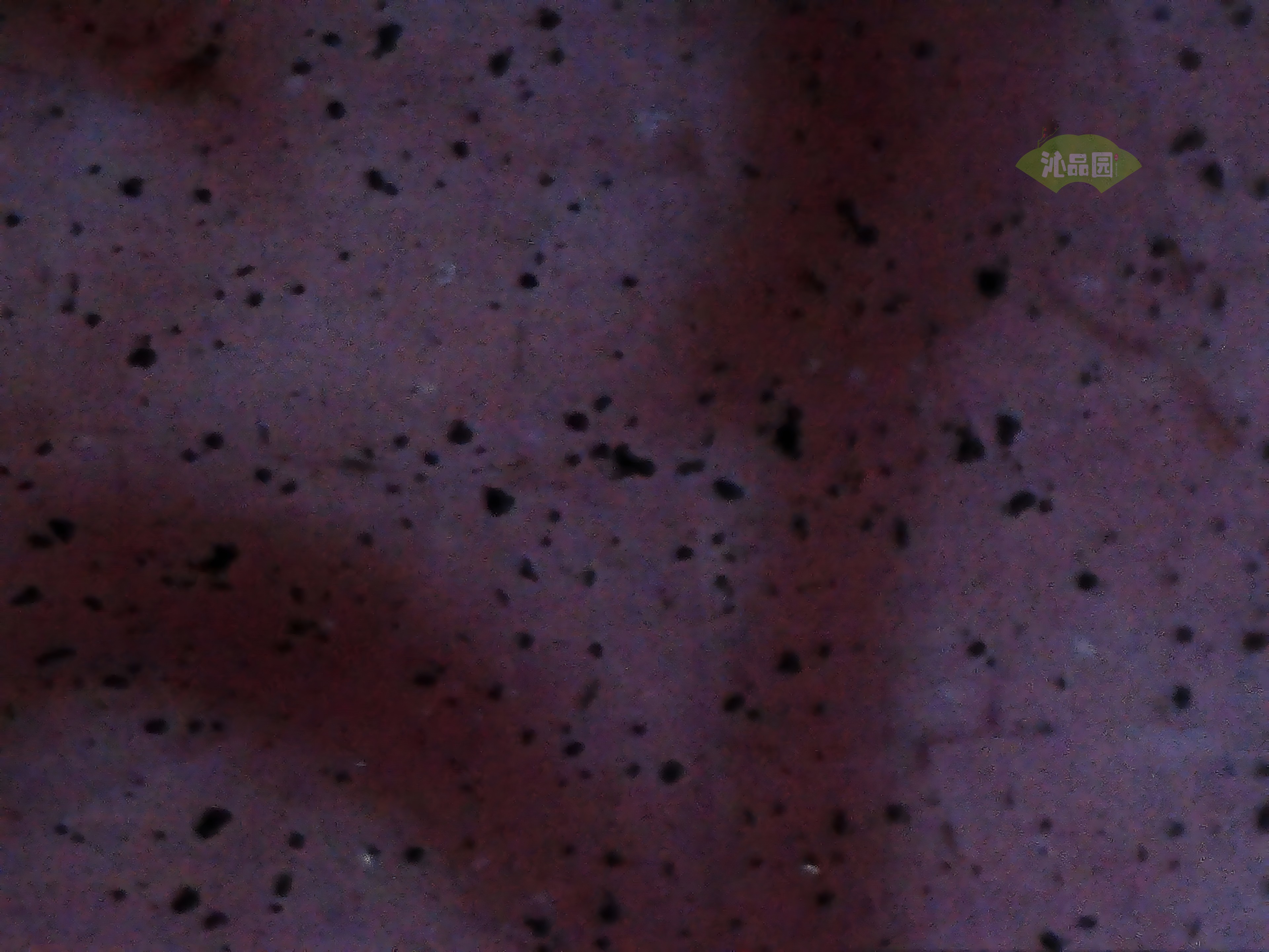 CHD00935.JPG