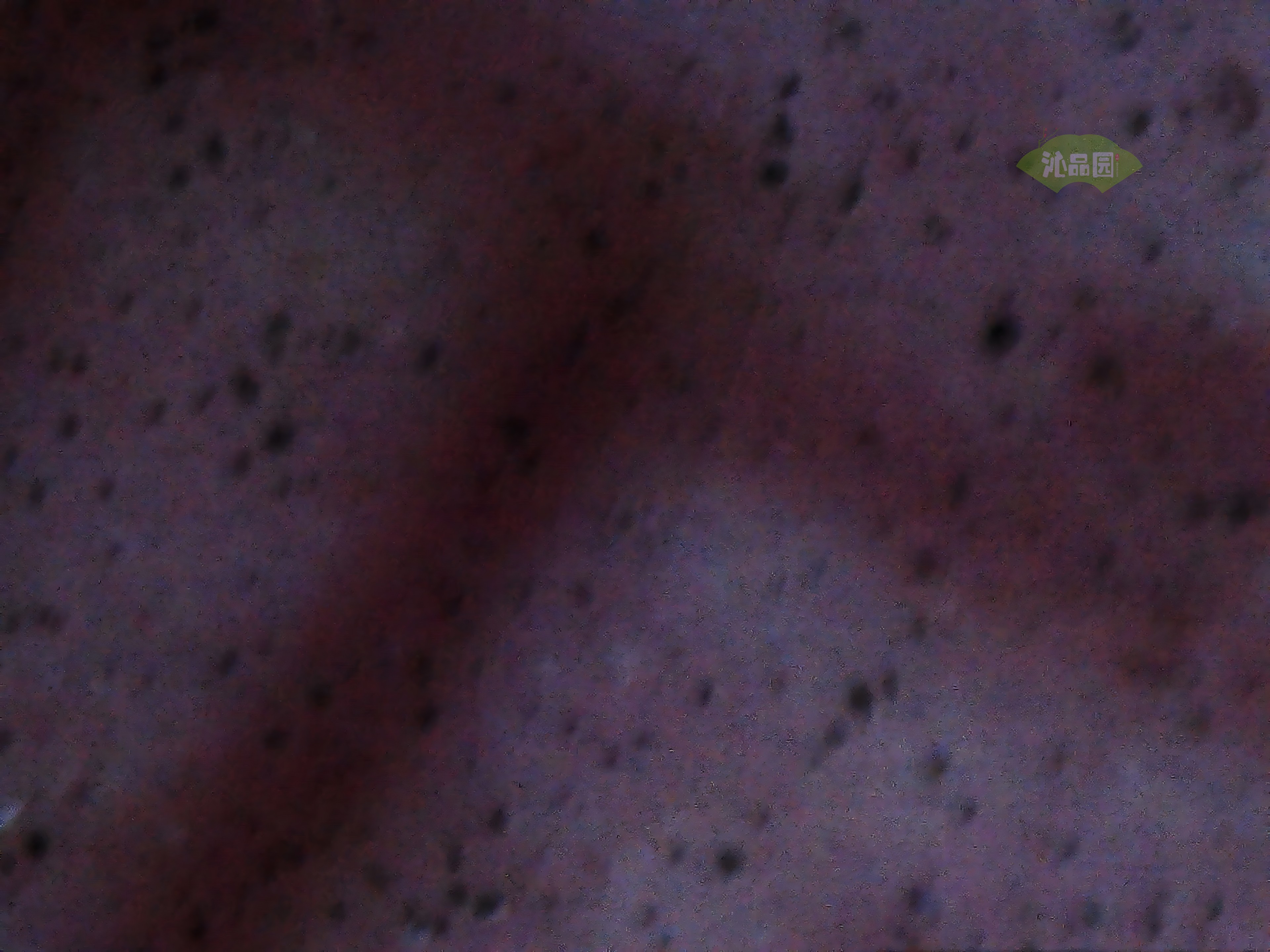 CHD00936.JPG