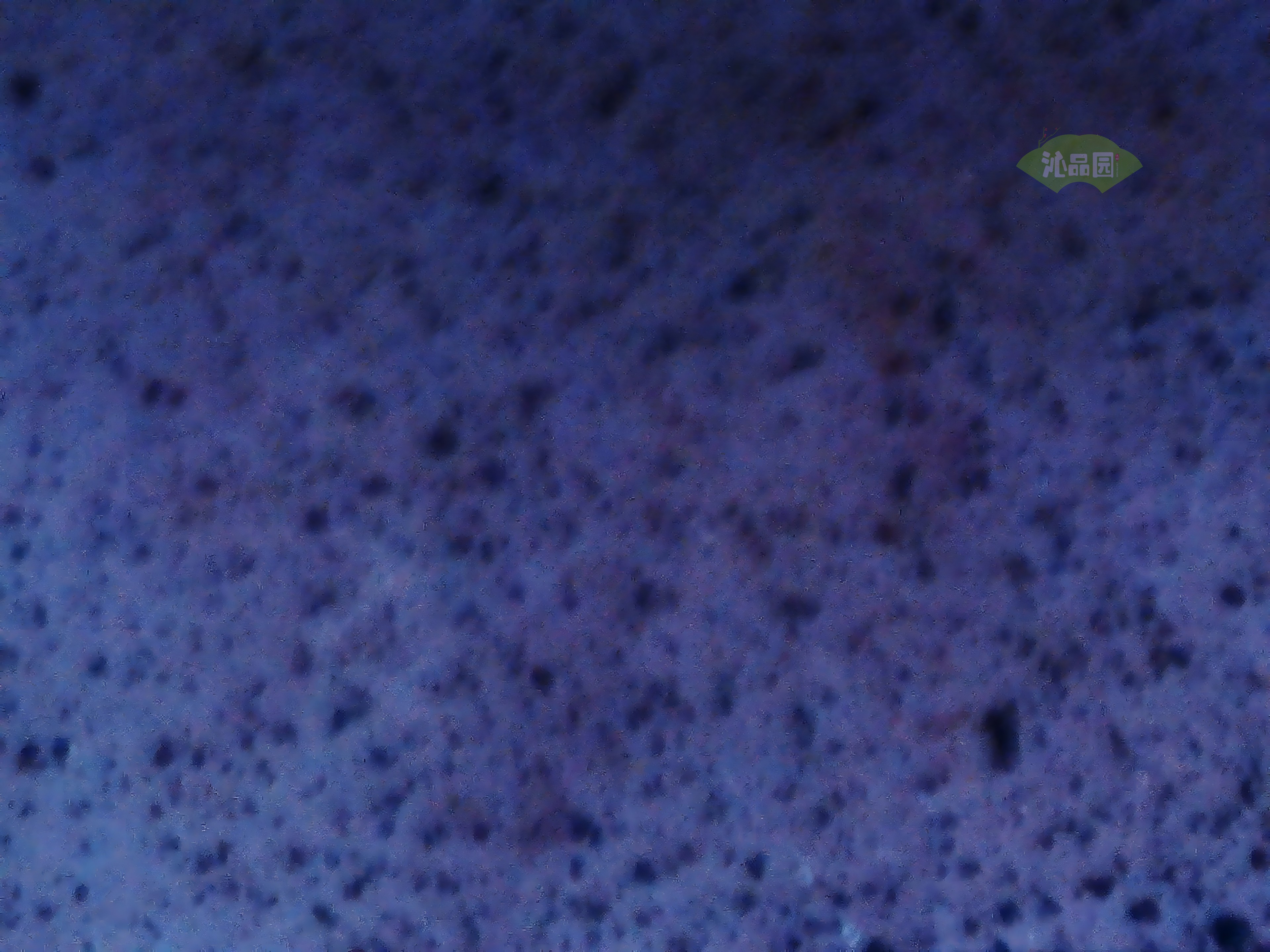 CHD01015.JPG