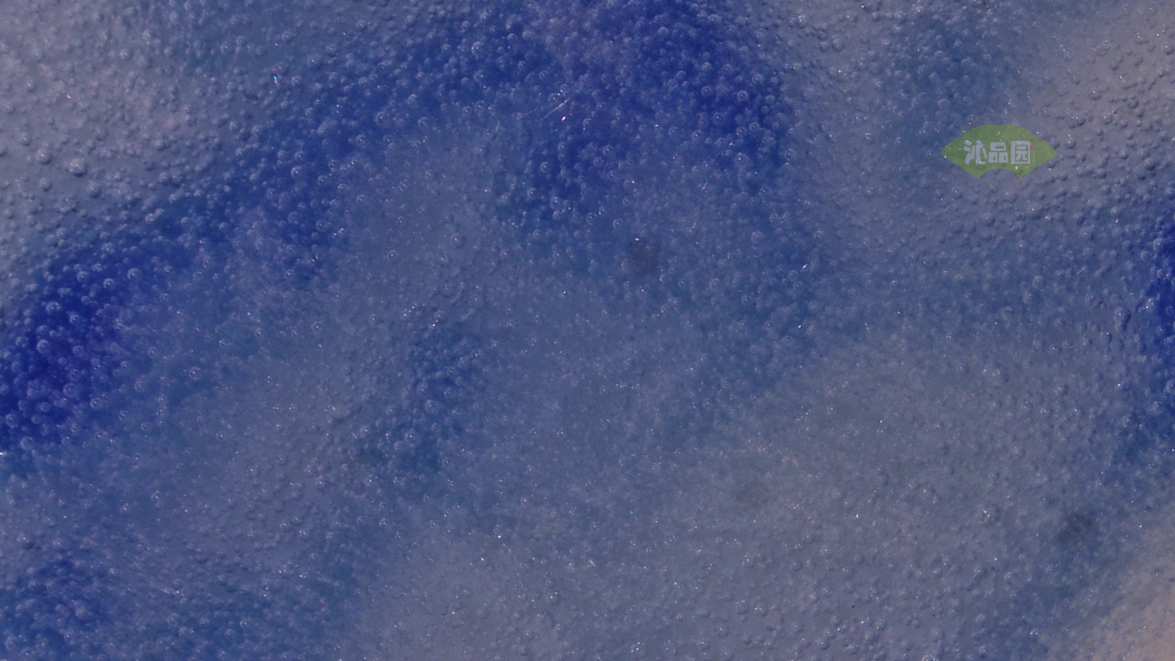0680.jpg