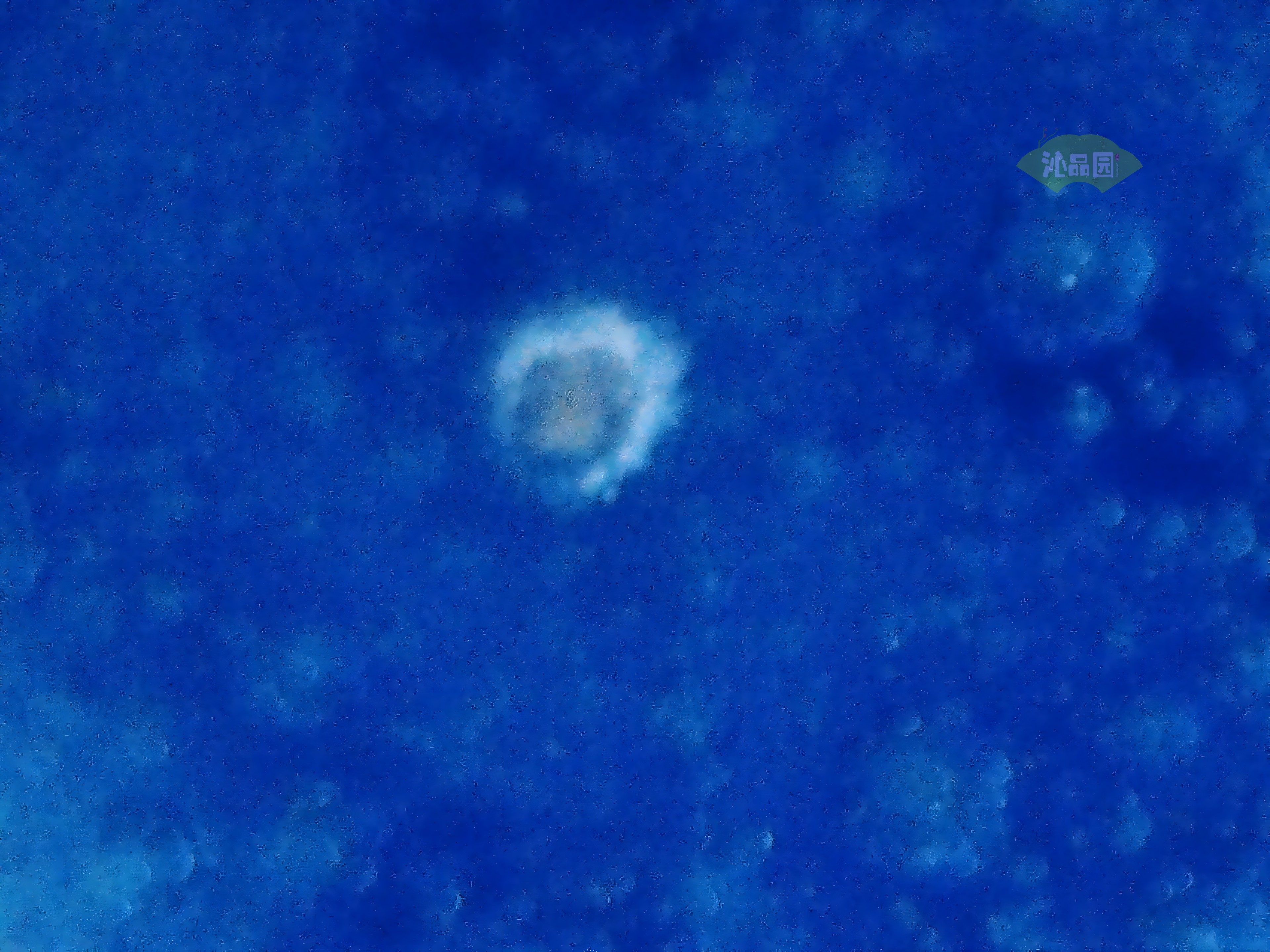 CHD00446.JPG