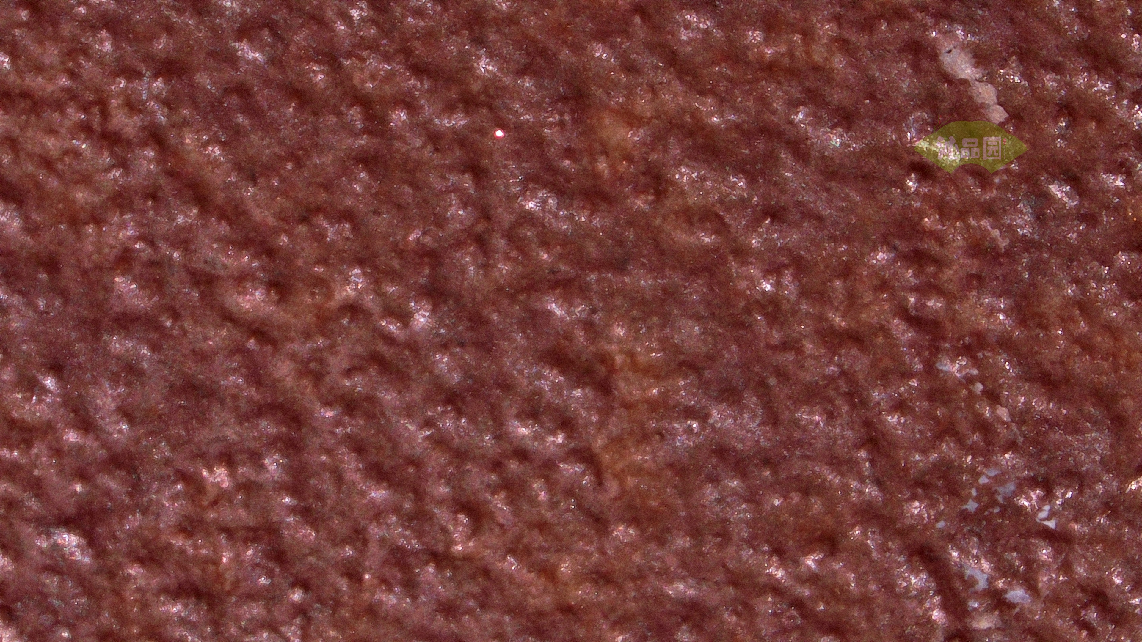 0102.jpg
