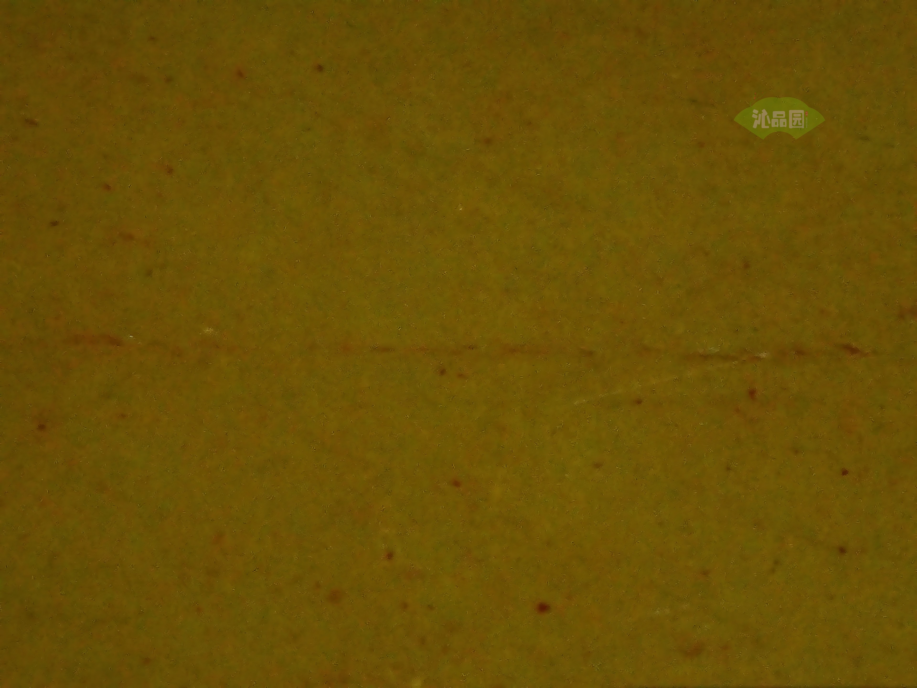 CHD00448.JPG