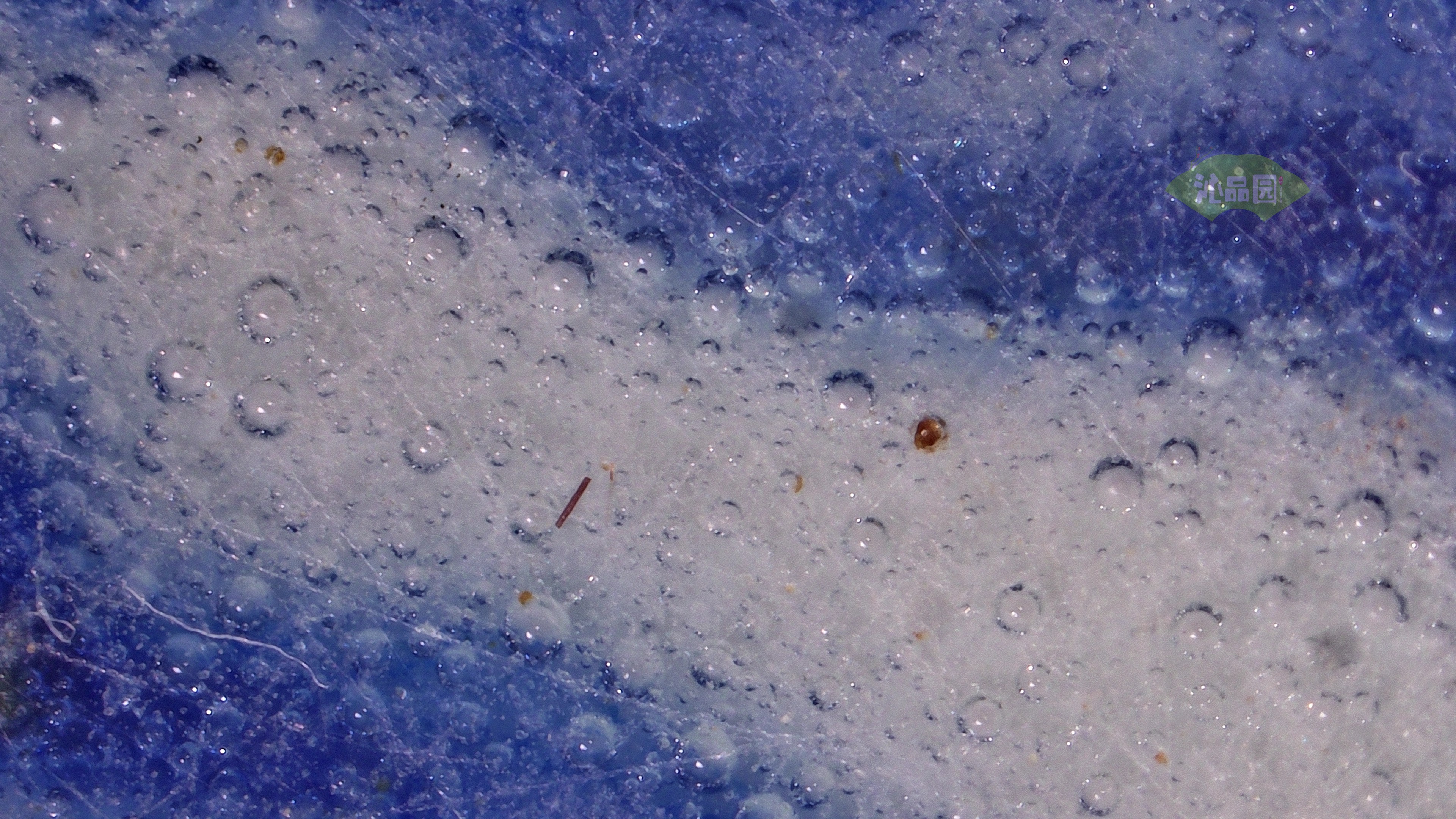 0529.jpg