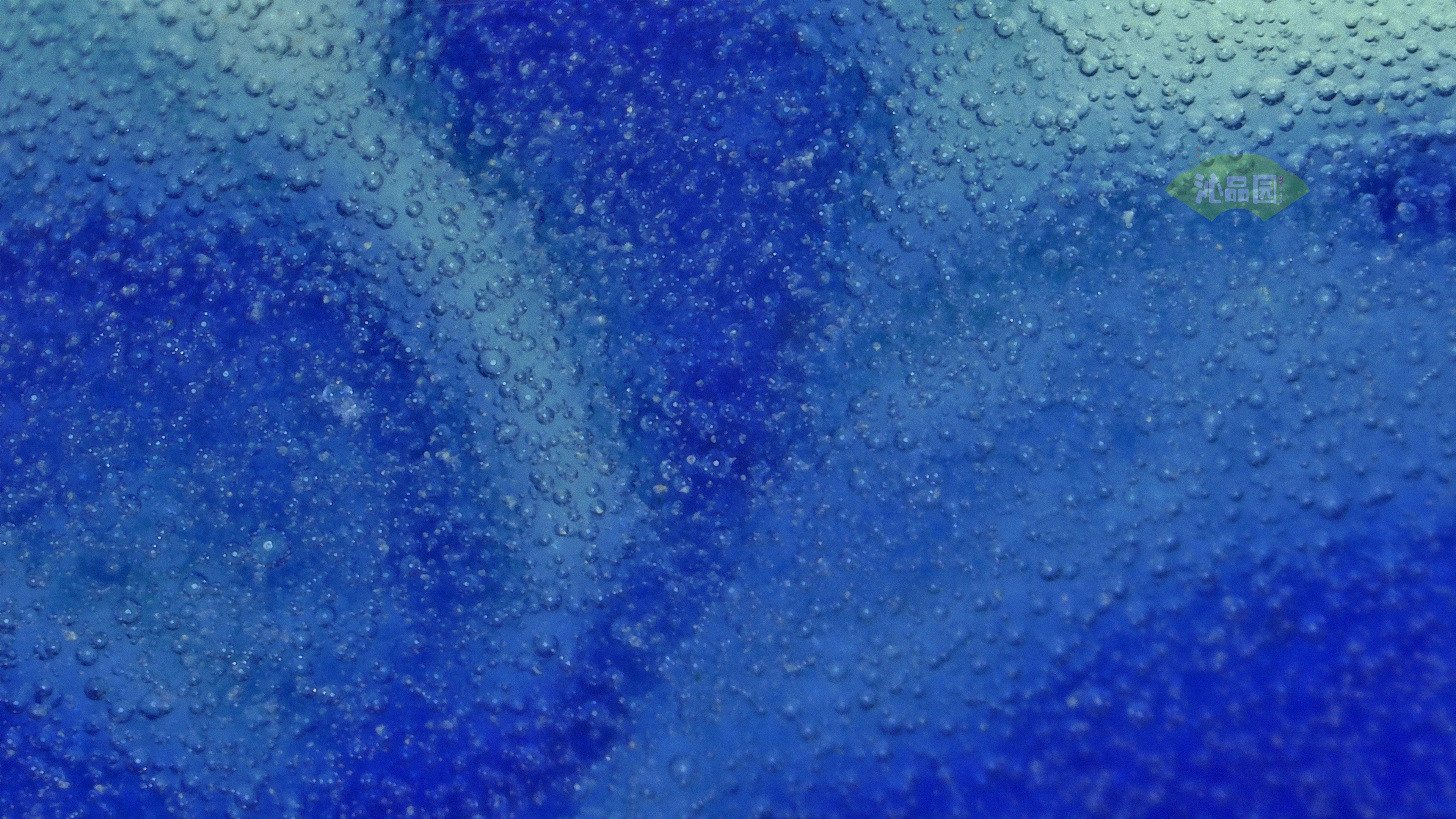 0257.jpg