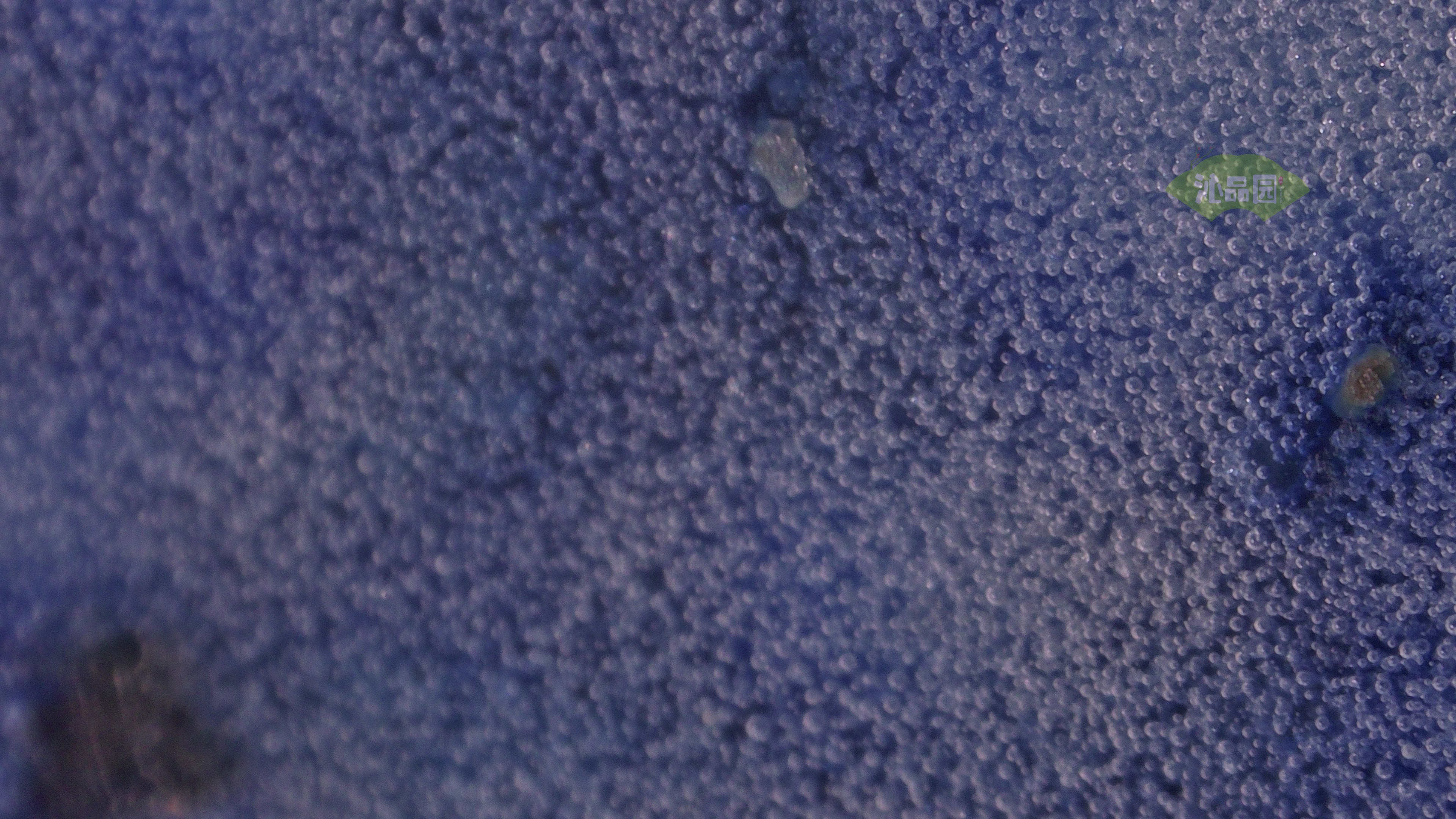 0164.jpg
