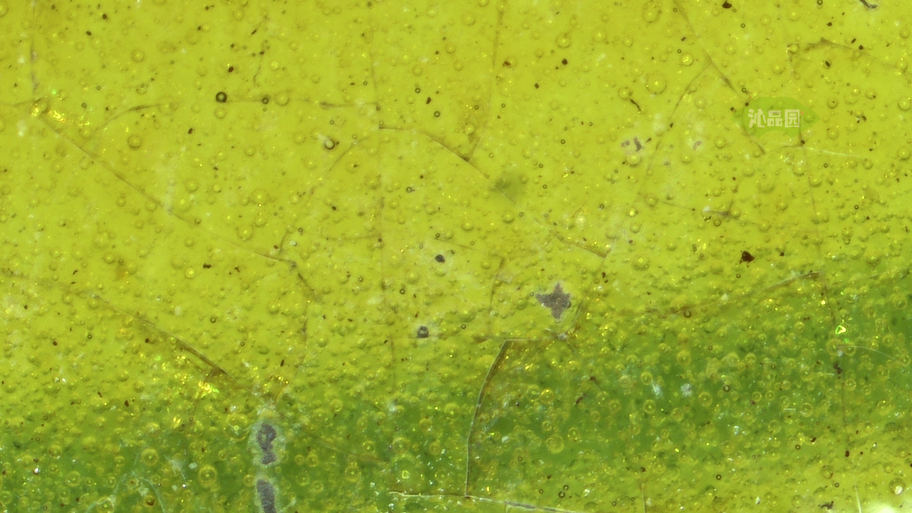 0144.jpg