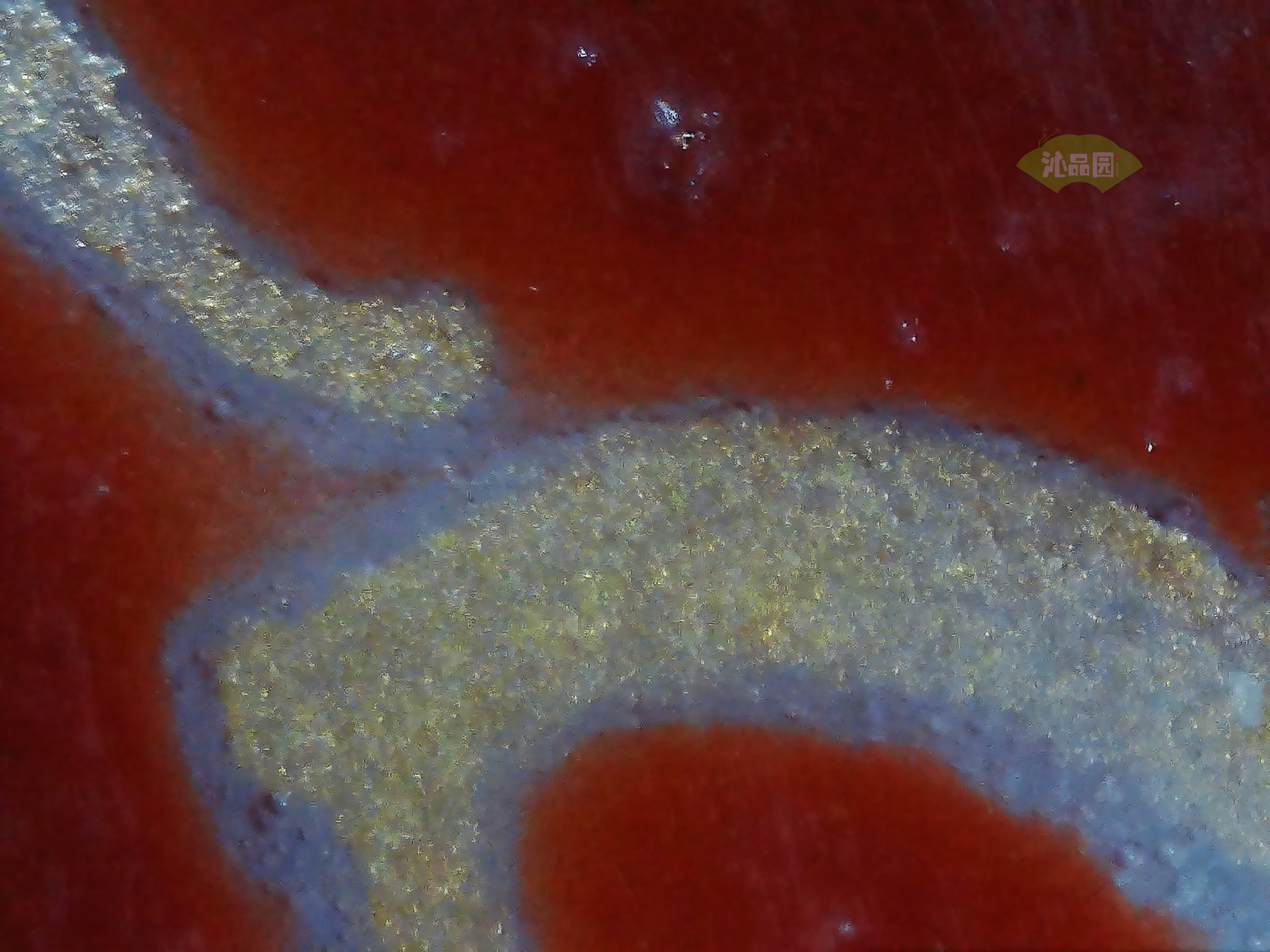 CHD00857.JPG