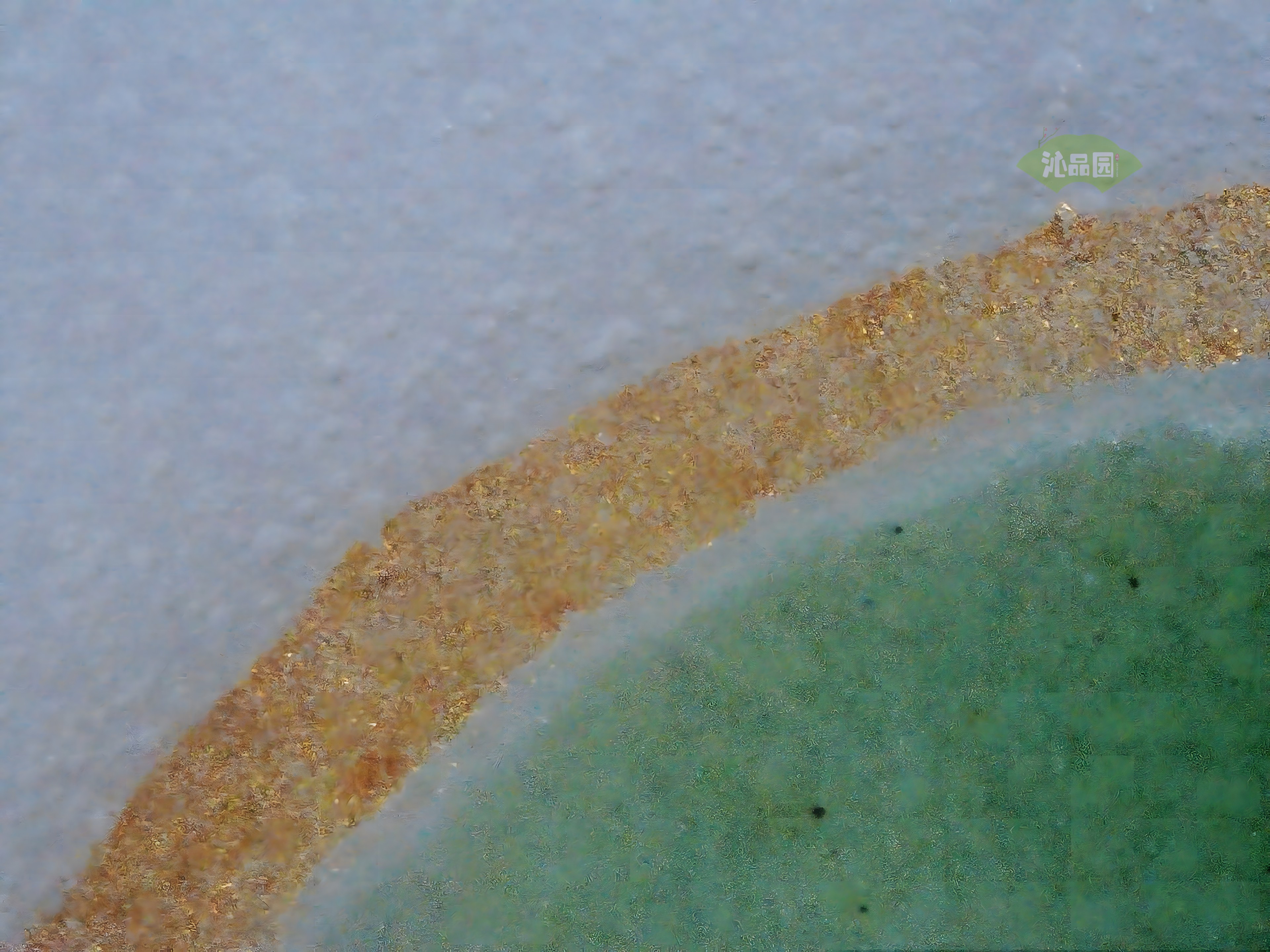 CHD00858.JPG
