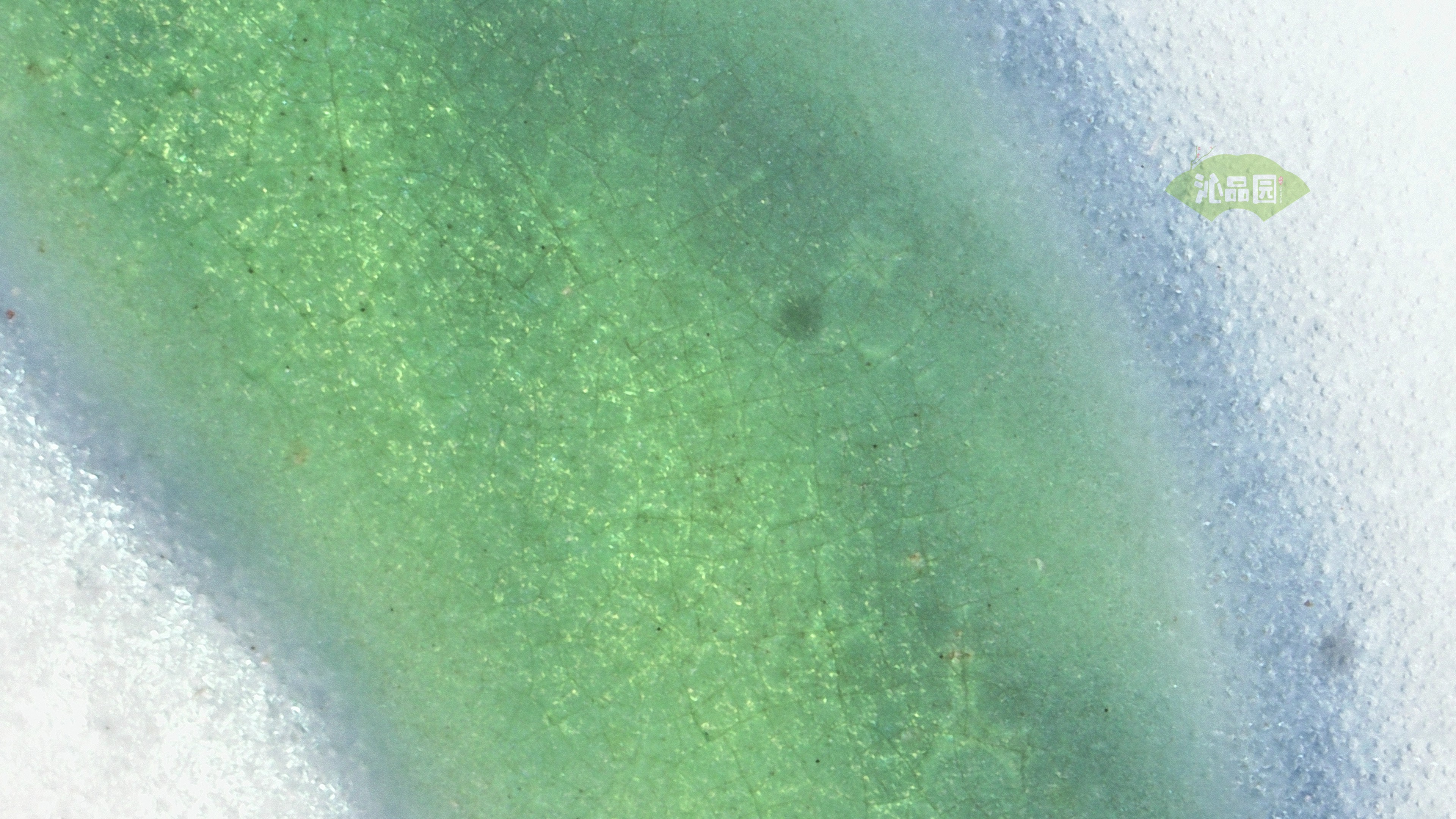 0805.jpg