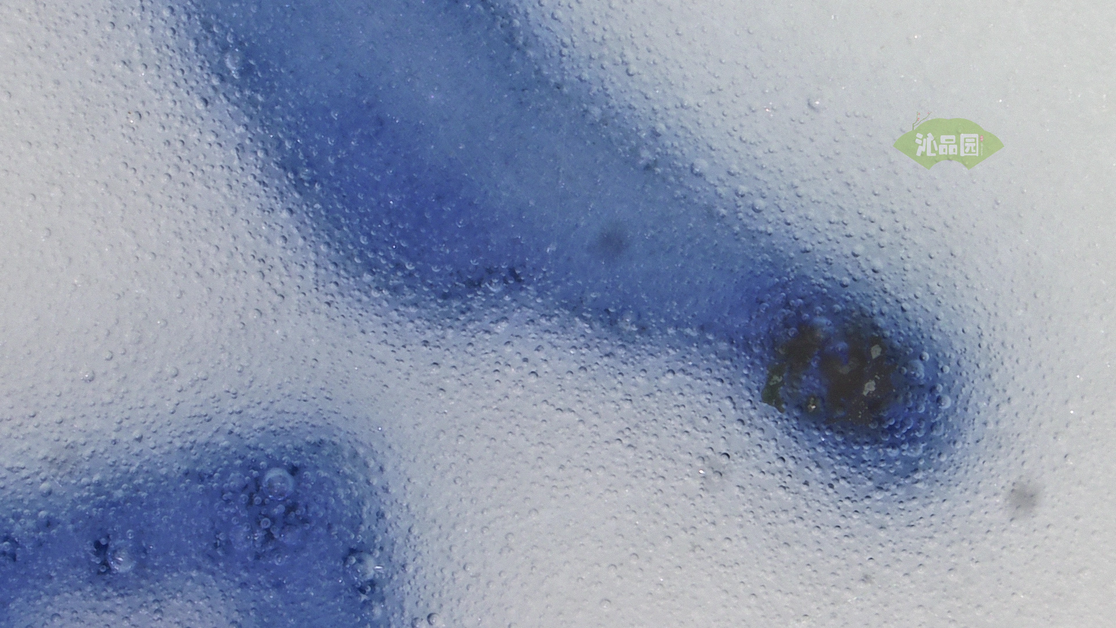 0840.jpg