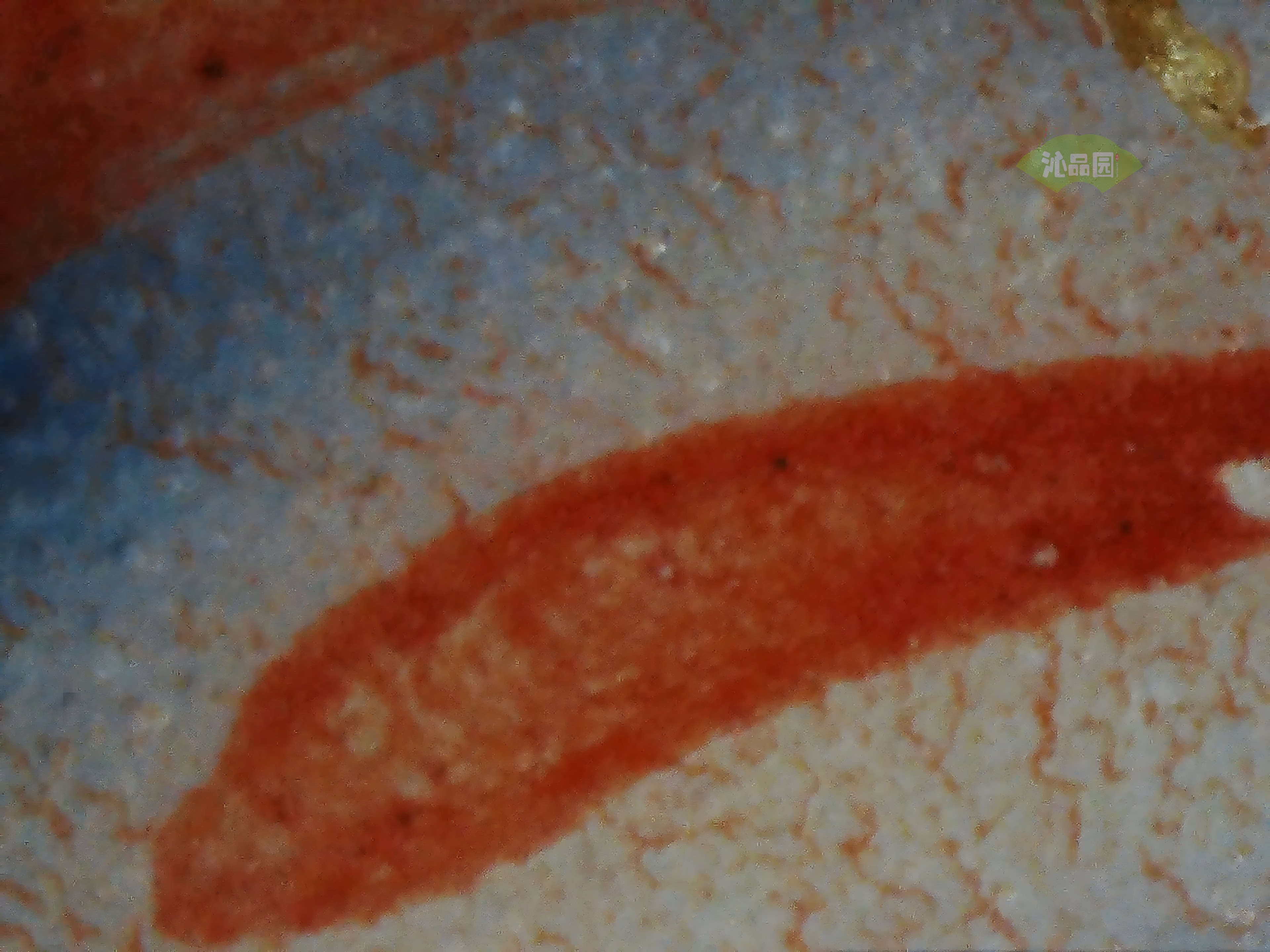CHD00941.JPG