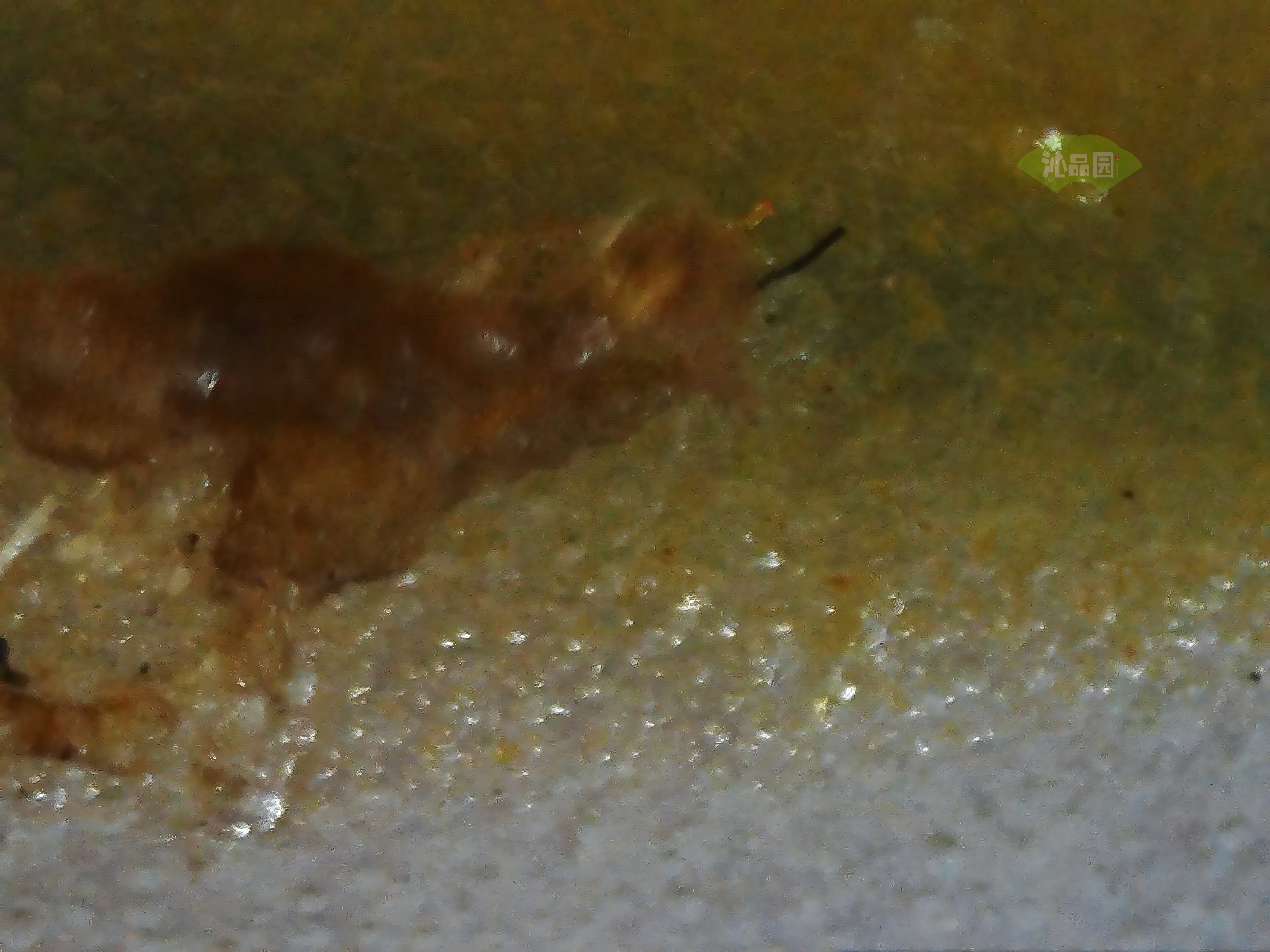 CHD00943.JPG