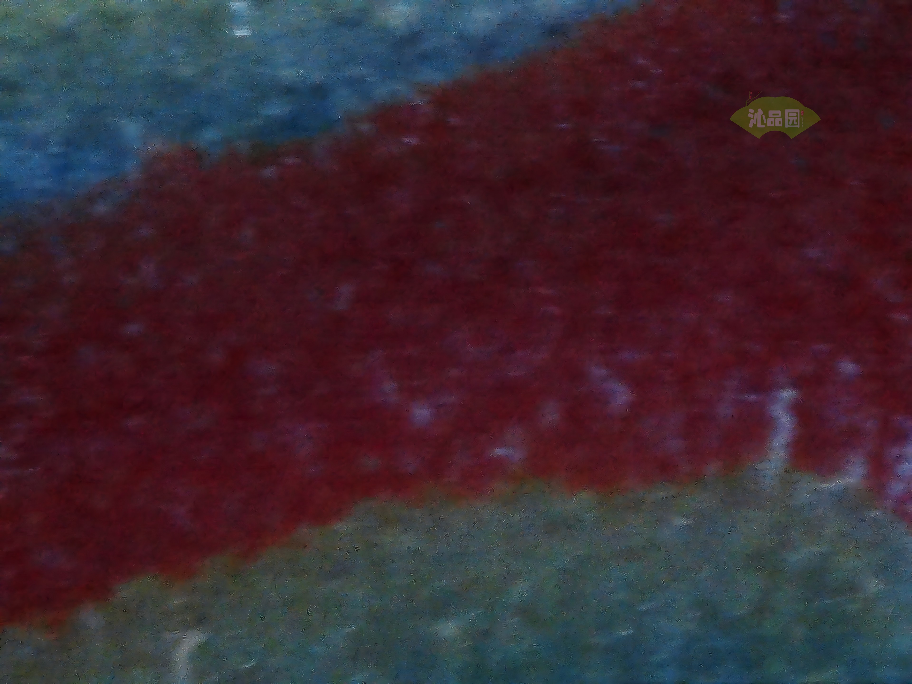 CHD00949.JPG